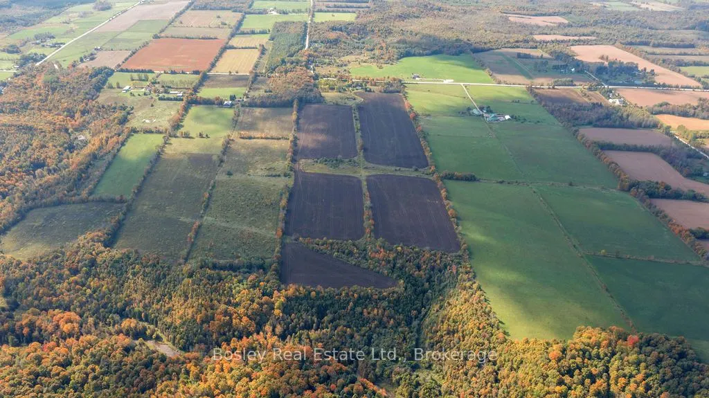 355695 The Blue Mountain Euphrasia Townline