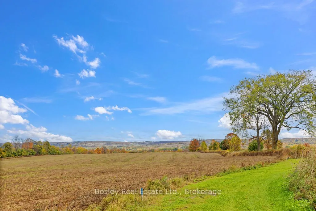 355695 The Blue Mountain Euphrasia Townline