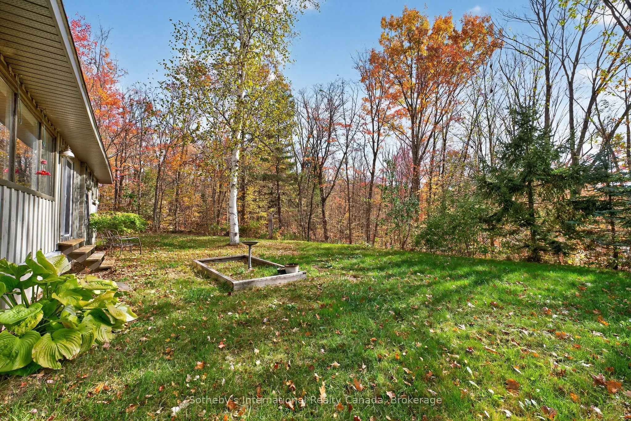 1132 Limberlost Road