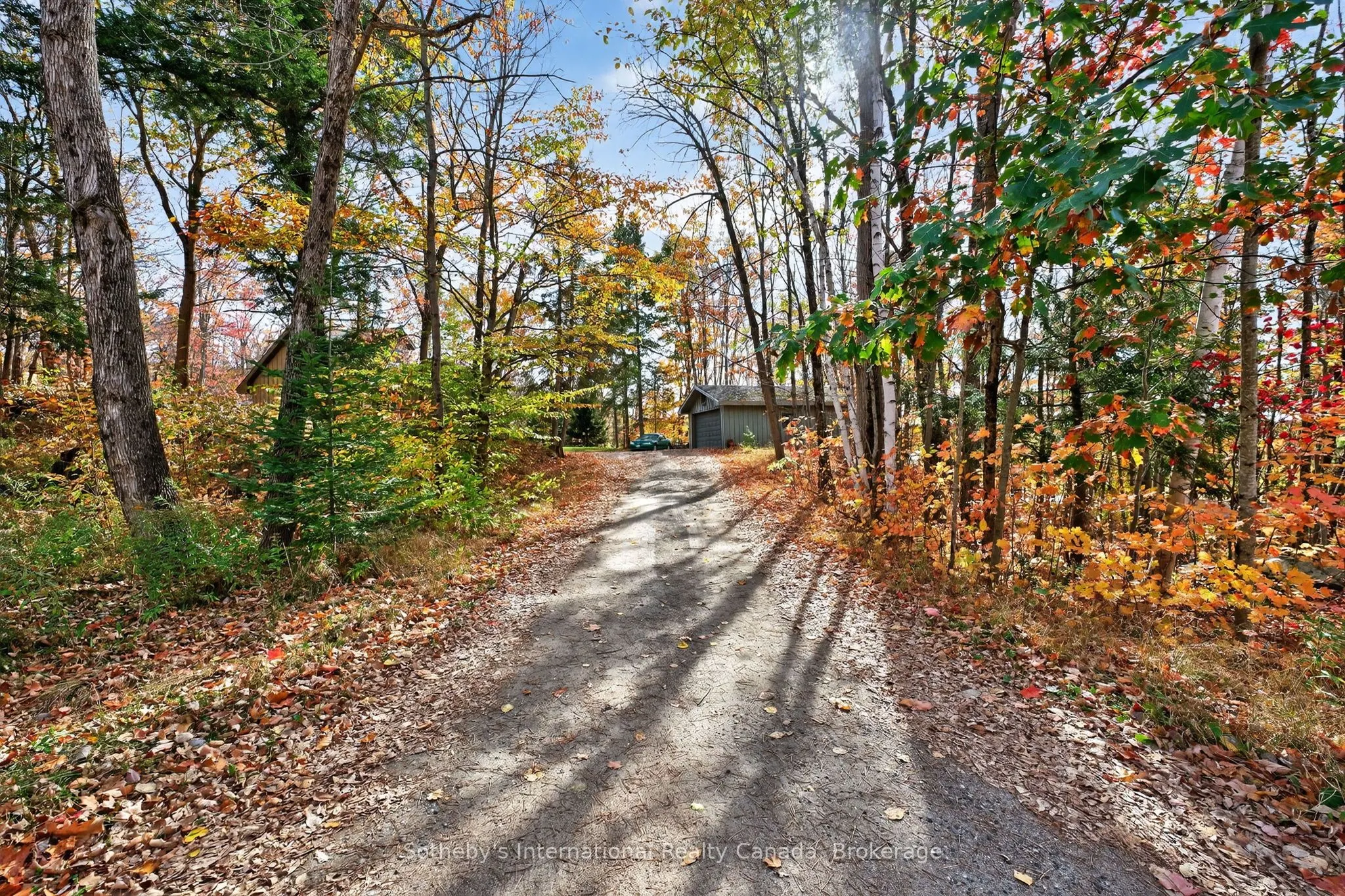 1132 Limberlost Road