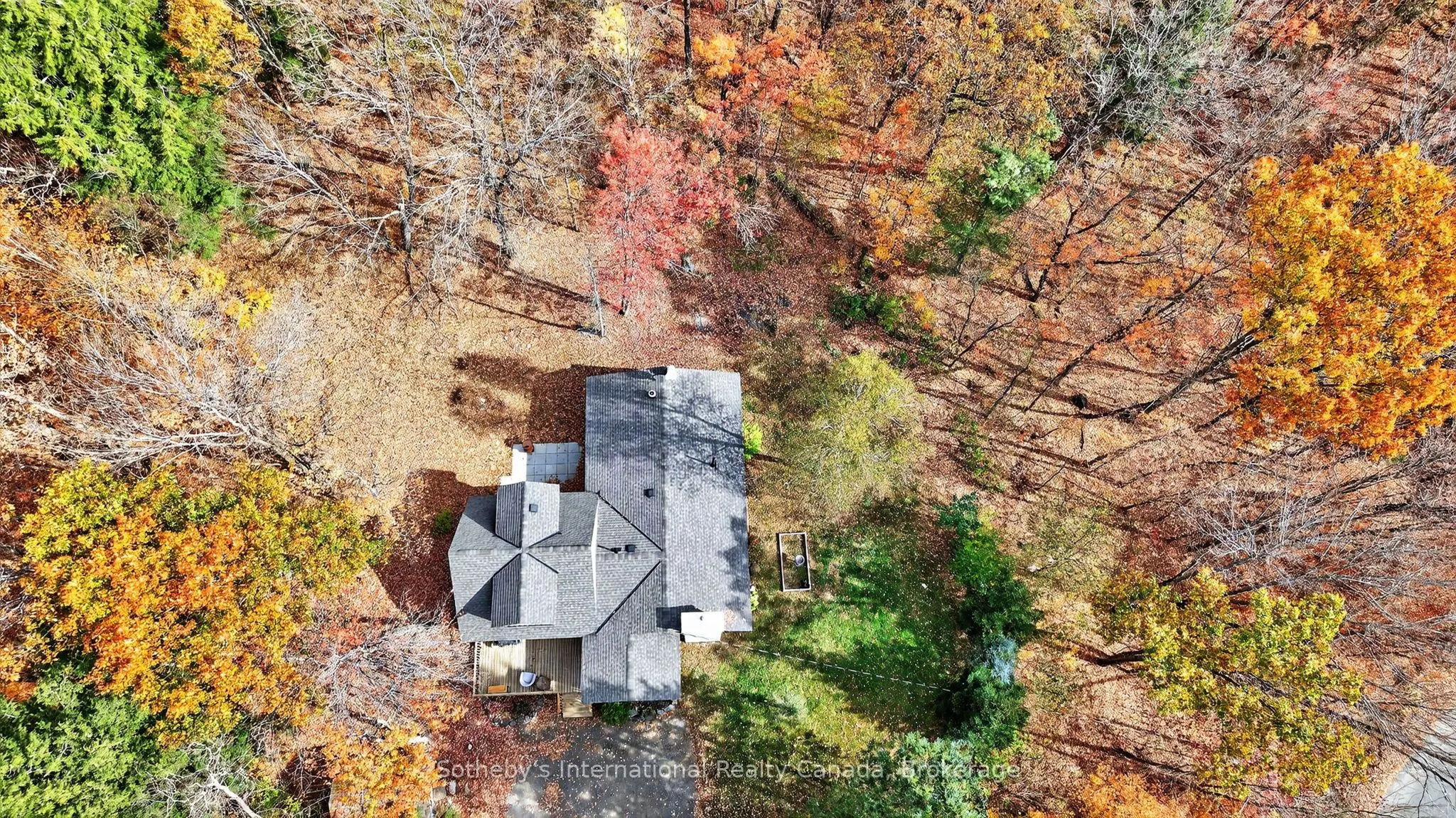 1132 Limberlost Road