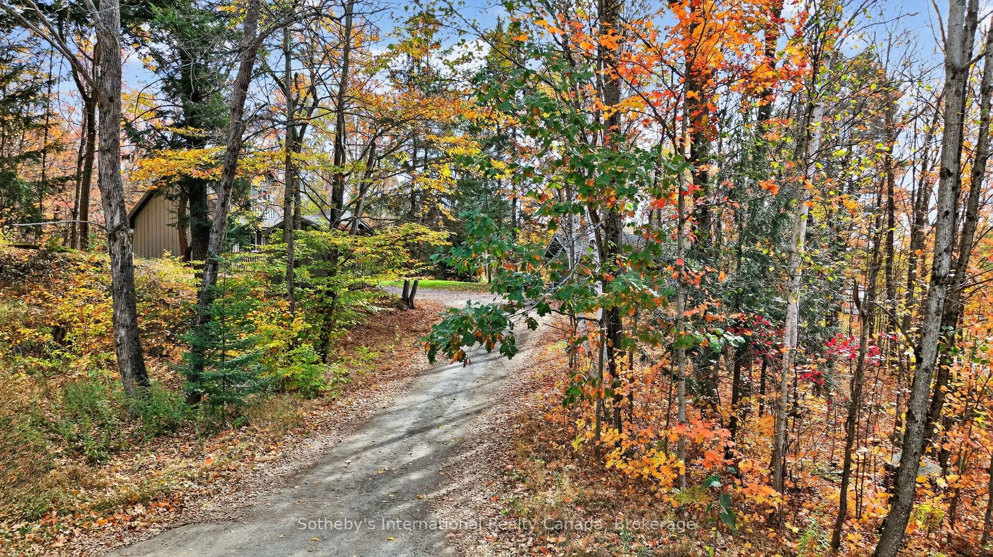 1132 Limberlost Road