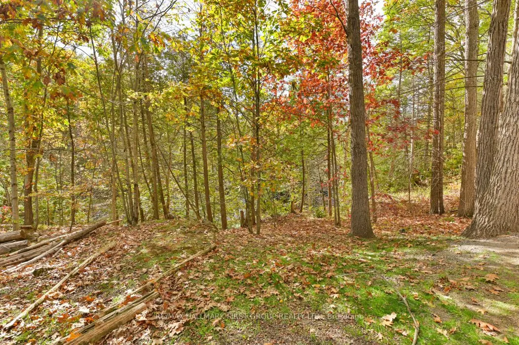 74 Cottage Lane
