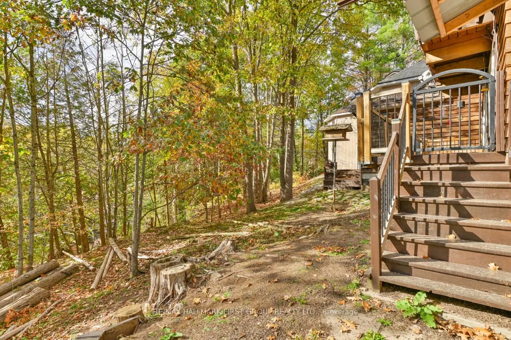 74 Cottage Lane