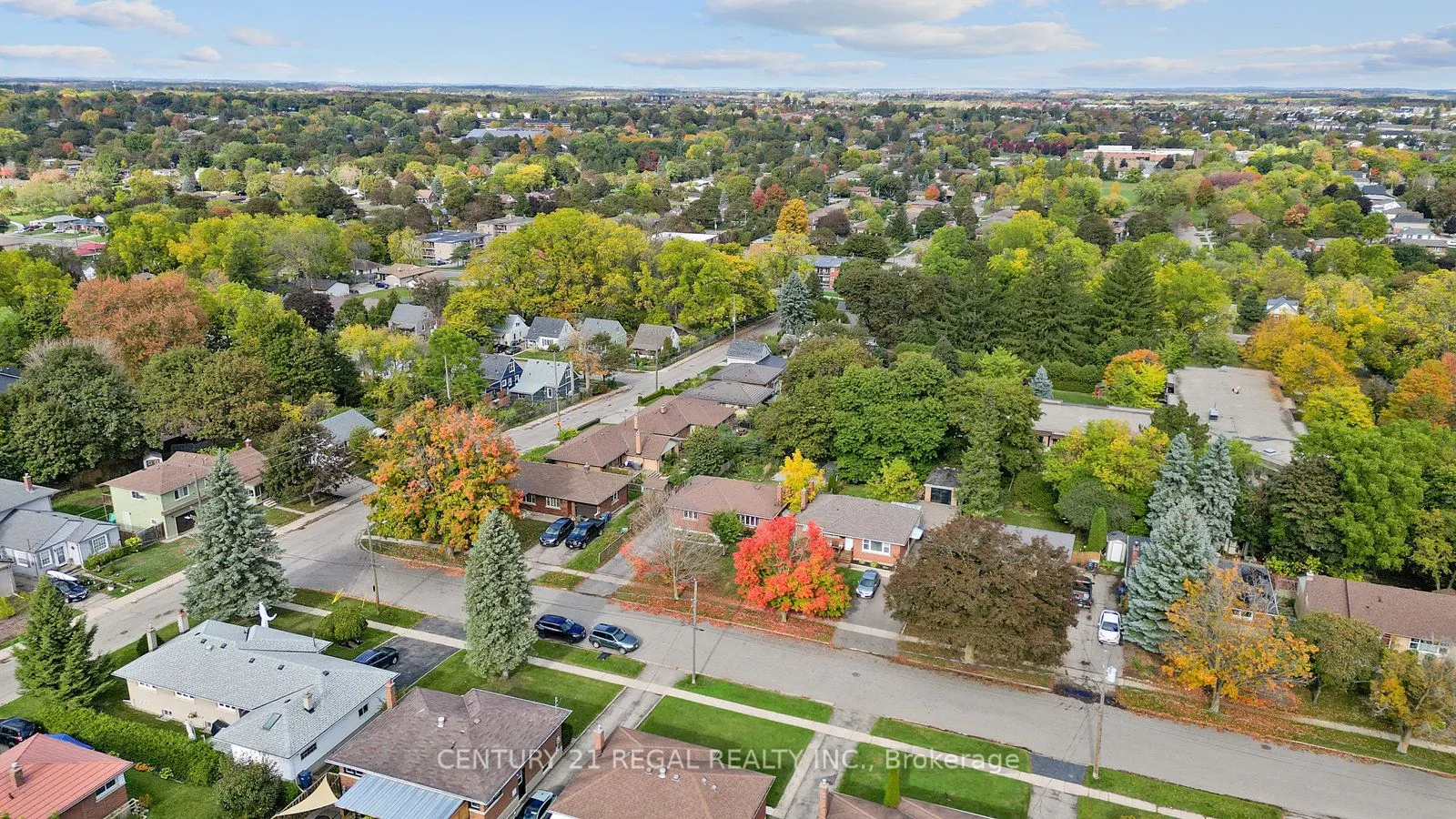 21 Louisa Drive
