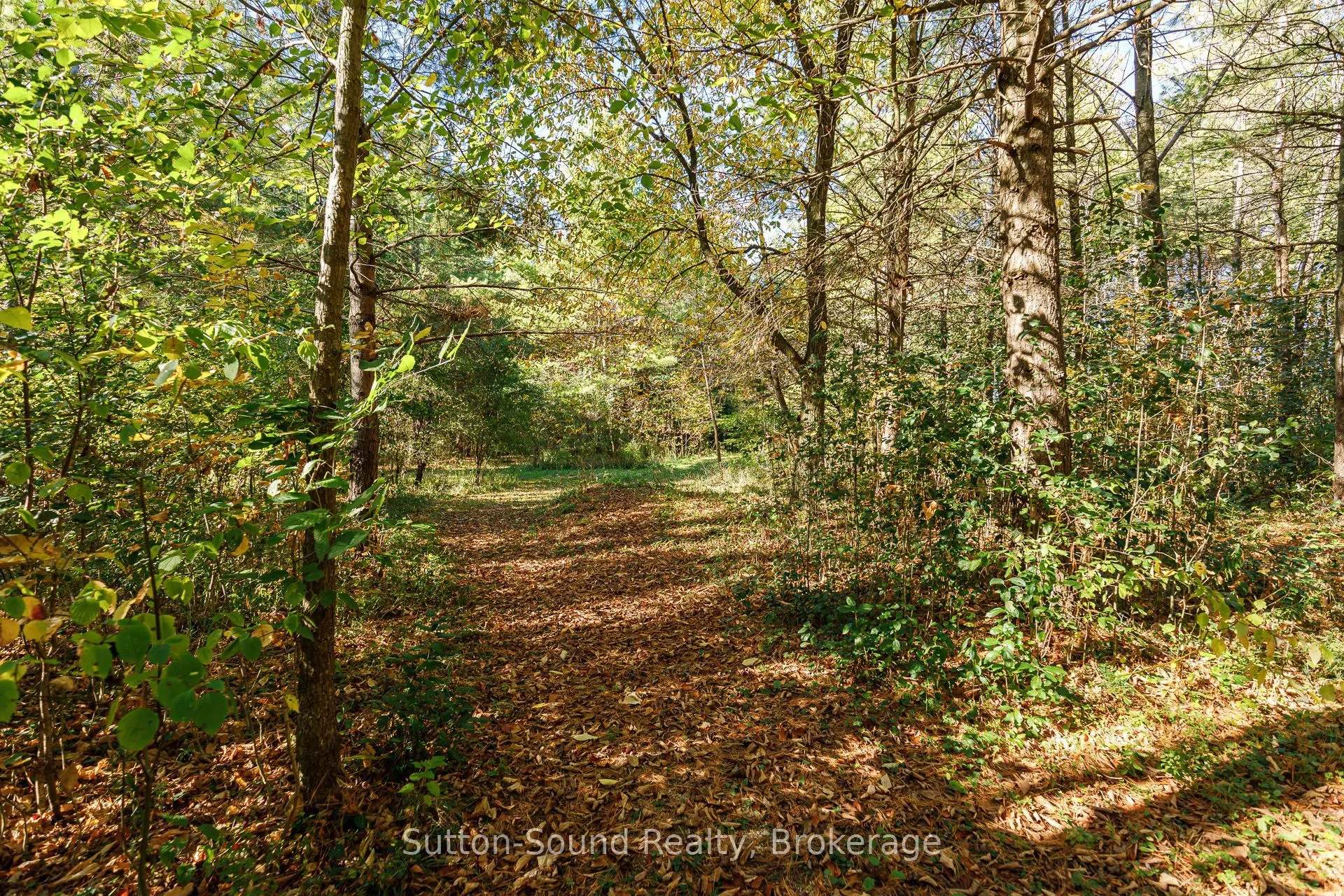 303277 33 Side Road