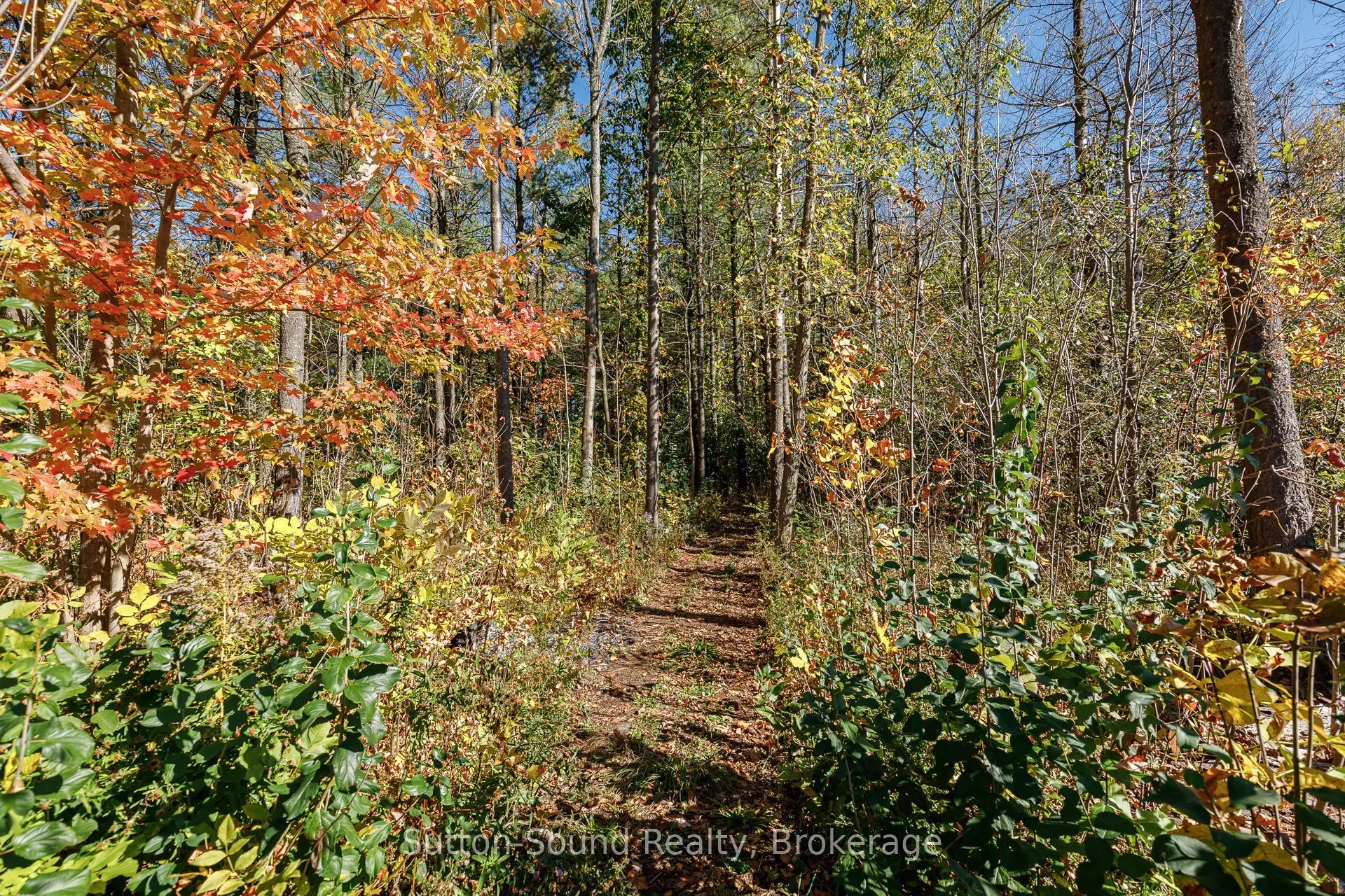303277 33 Side Road