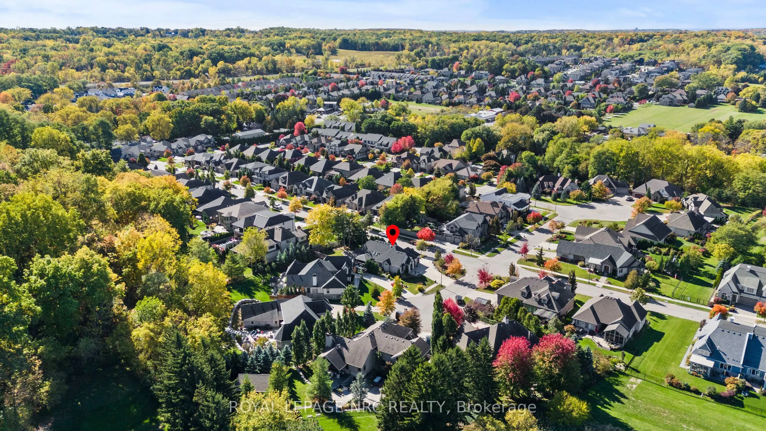 12 DAVID LOWREY Court