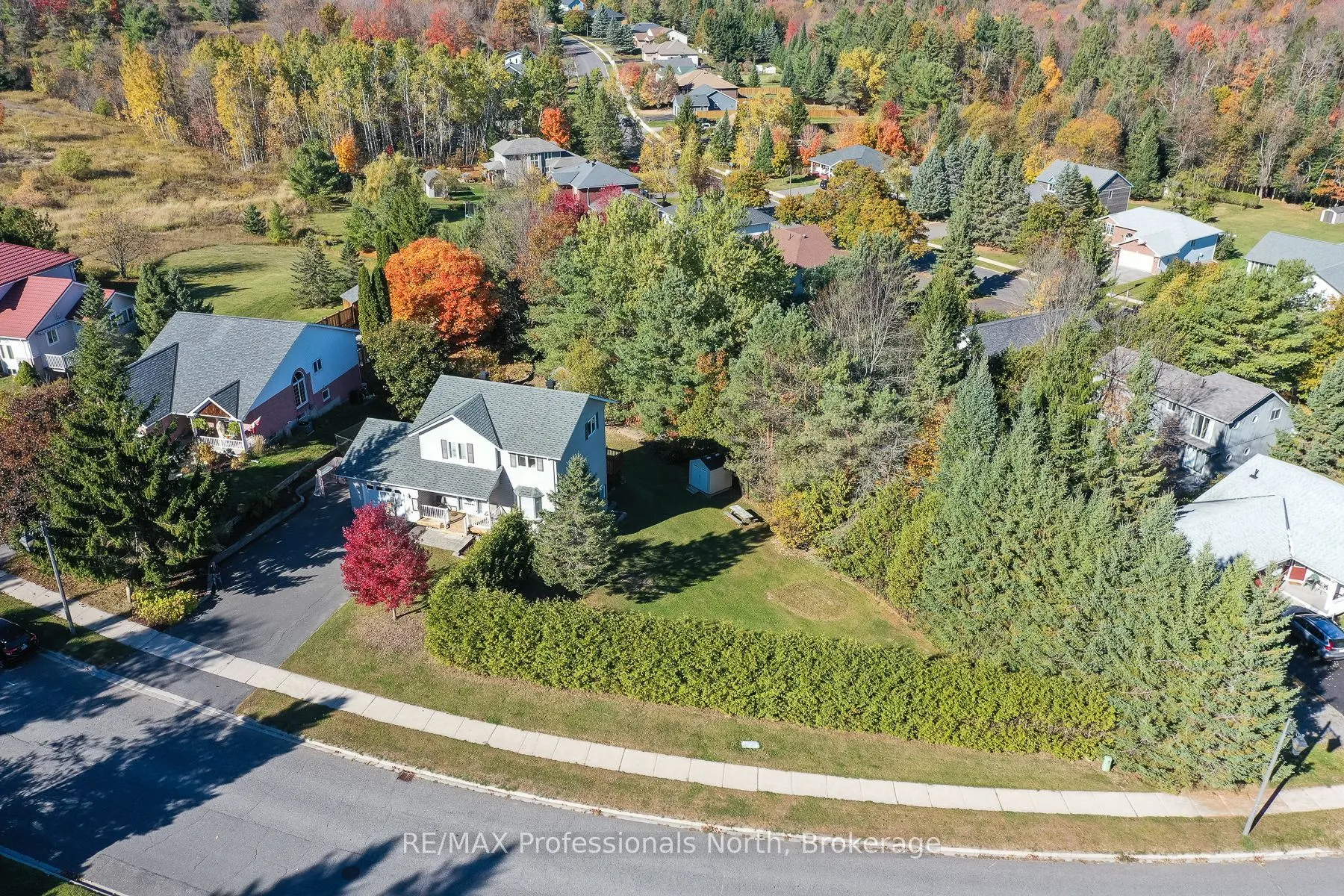 6 Lankin Avenue