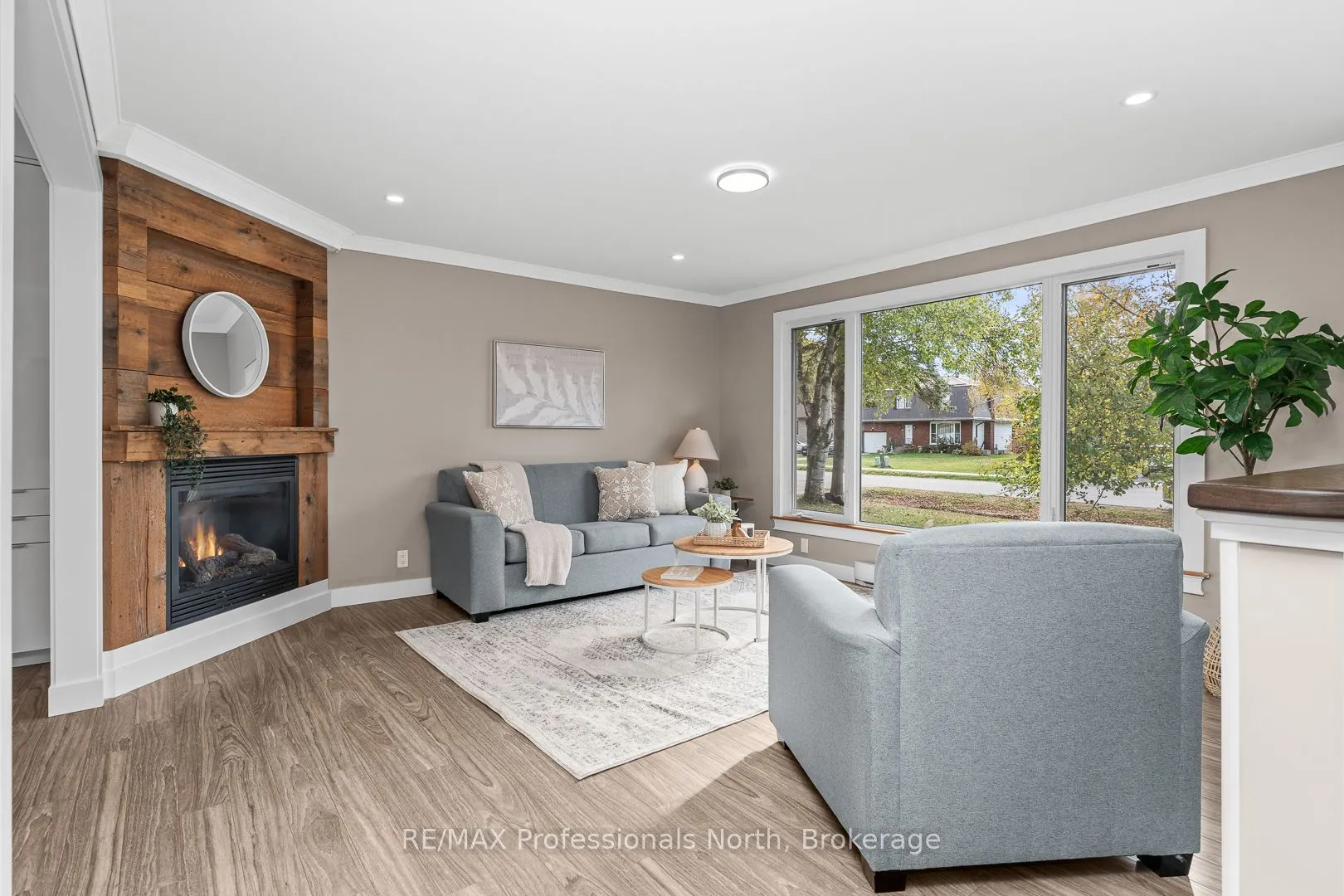 11 Andrea Drive