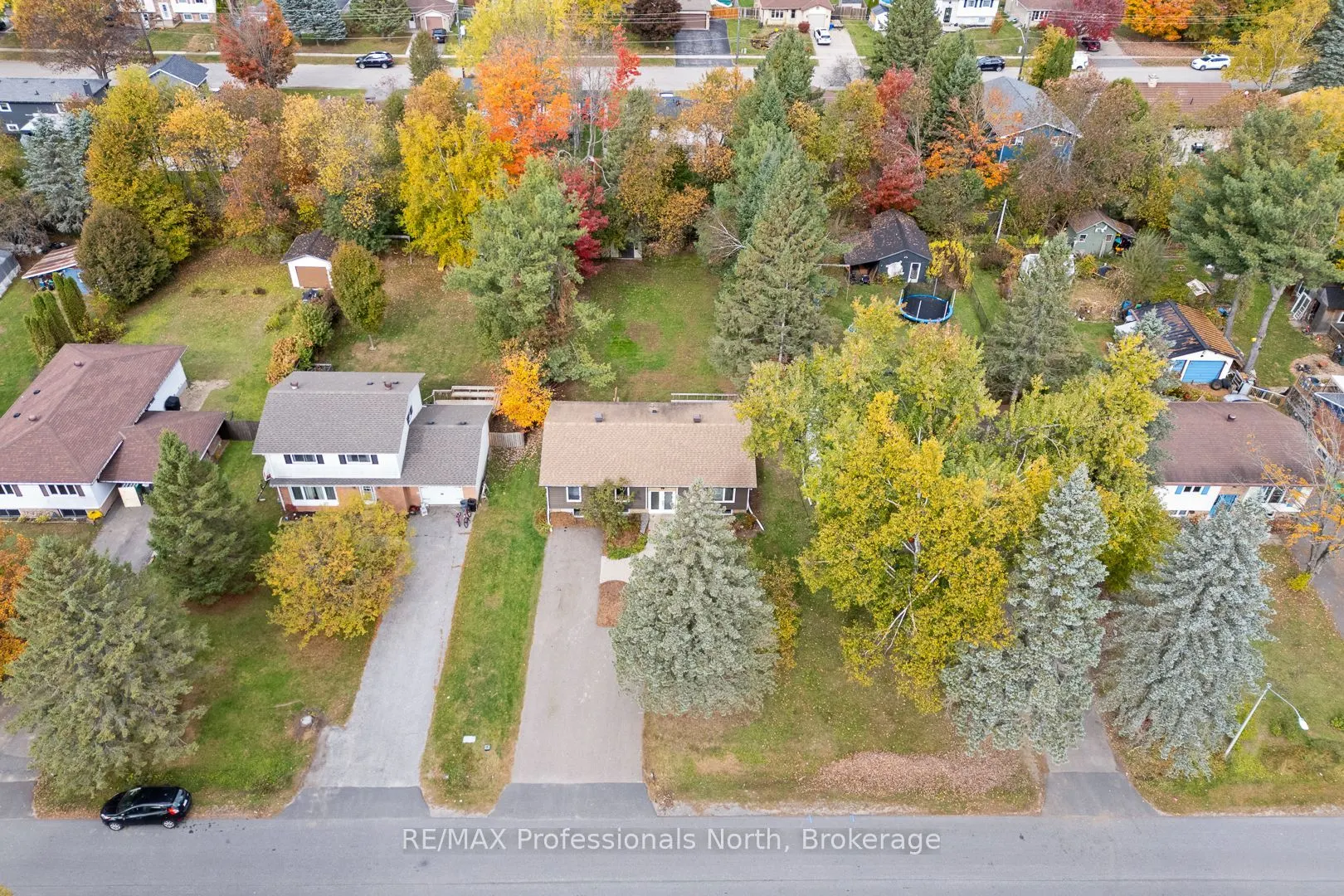 11 Andrea Drive