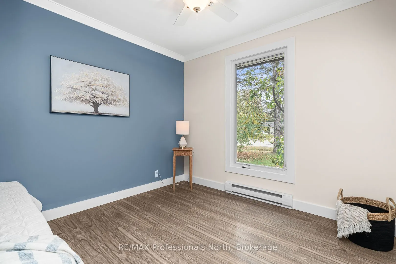 11 Andrea Drive
