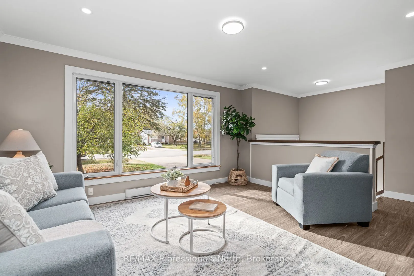 11 Andrea Drive