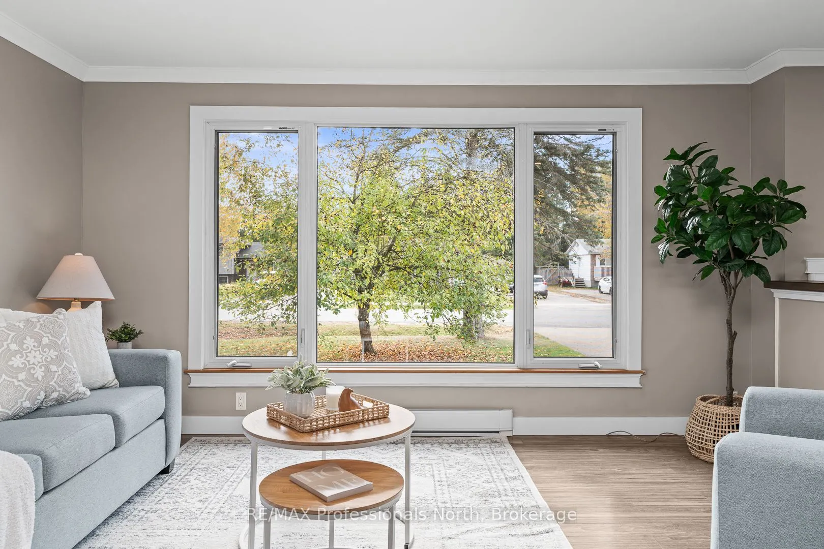 11 Andrea Drive