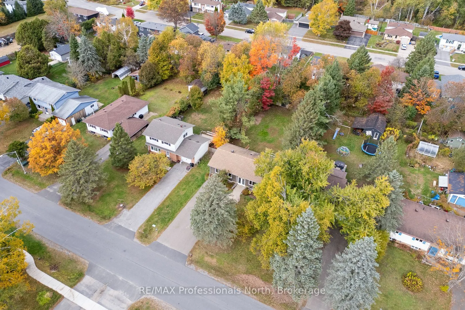 11 Andrea Drive