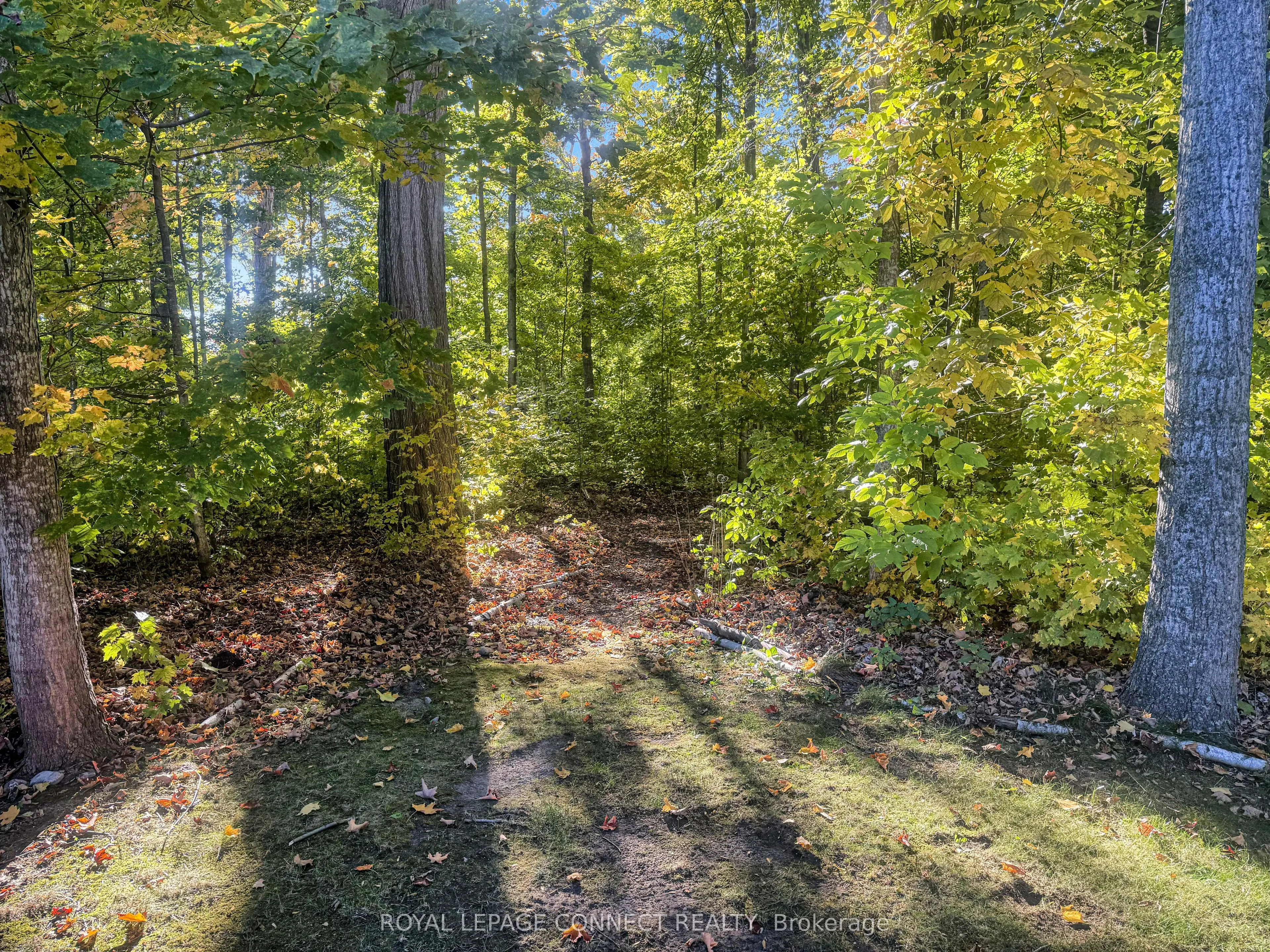 36 Hollow Lane, #201