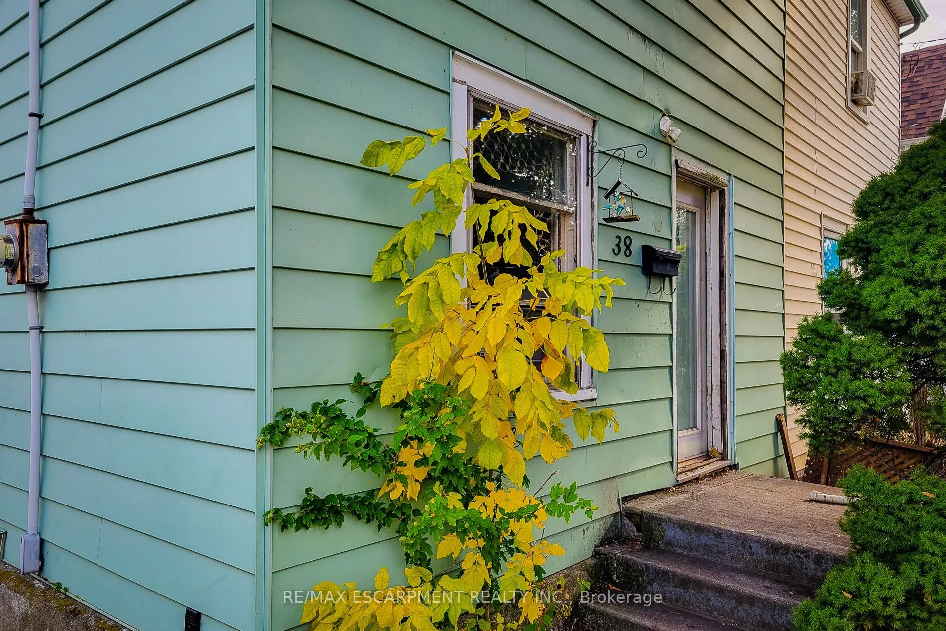 38 Ellis Avenue