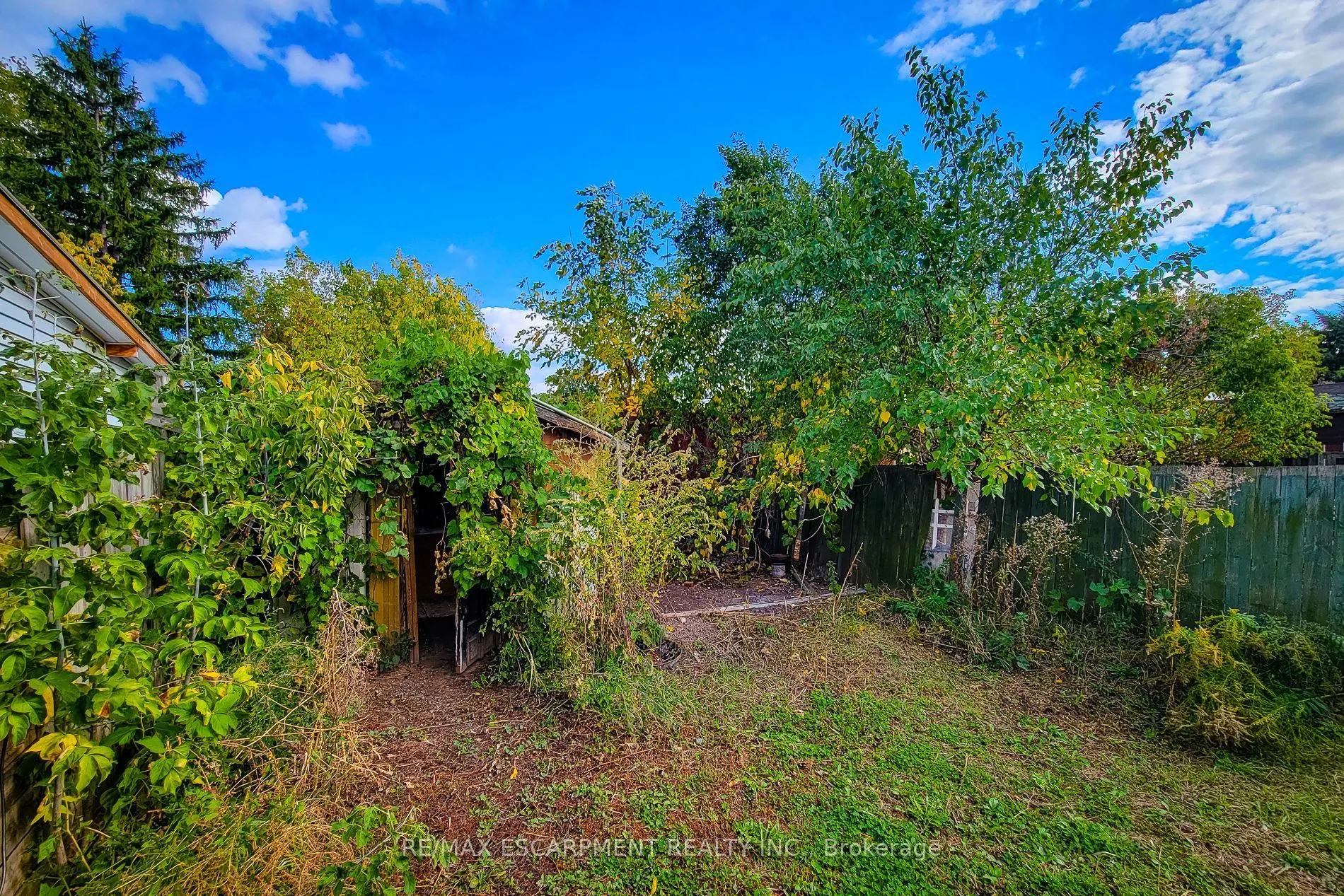 38 Ellis Avenue