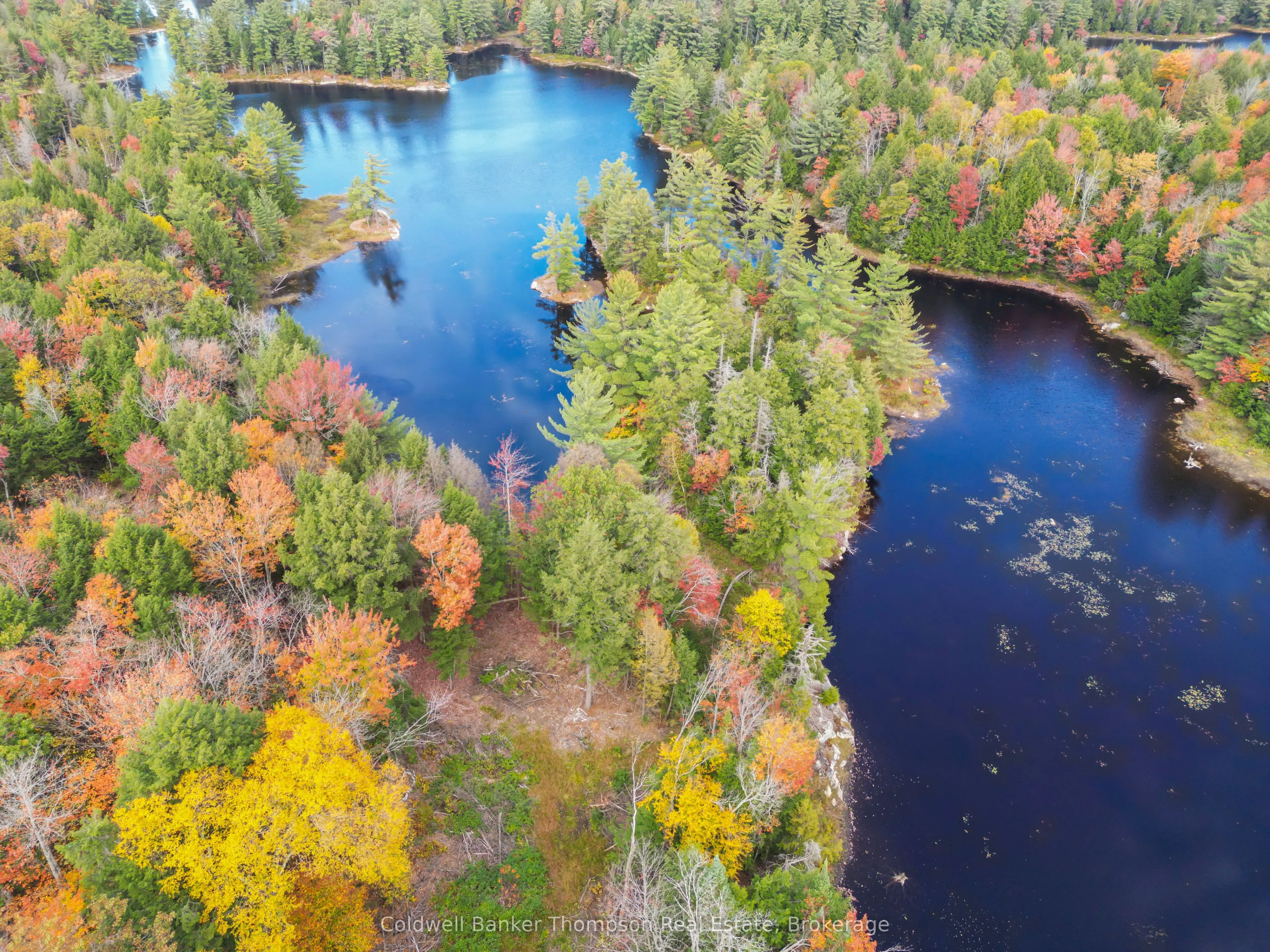 88 Lake Vision Road