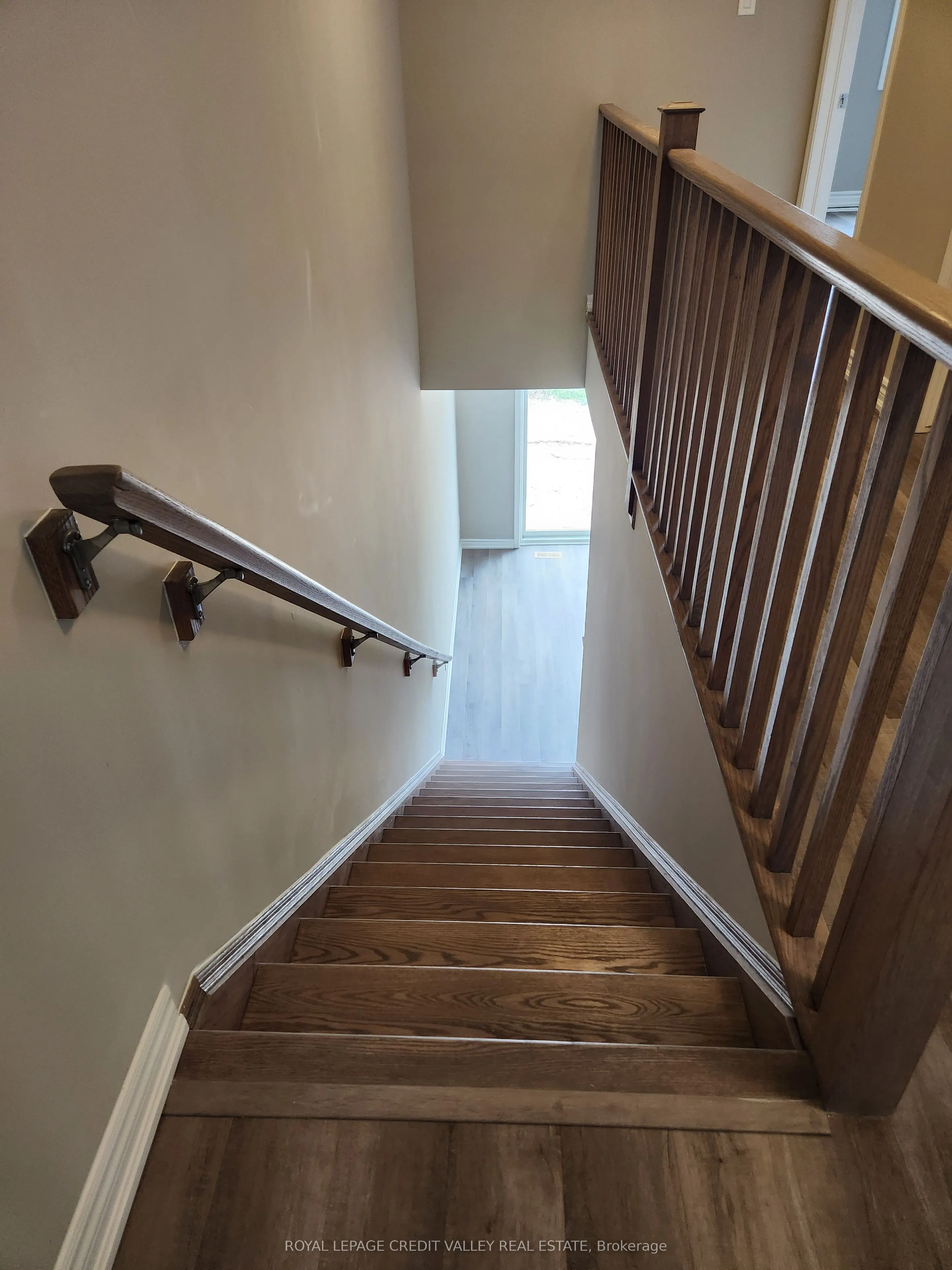 46 Forestwalk Street