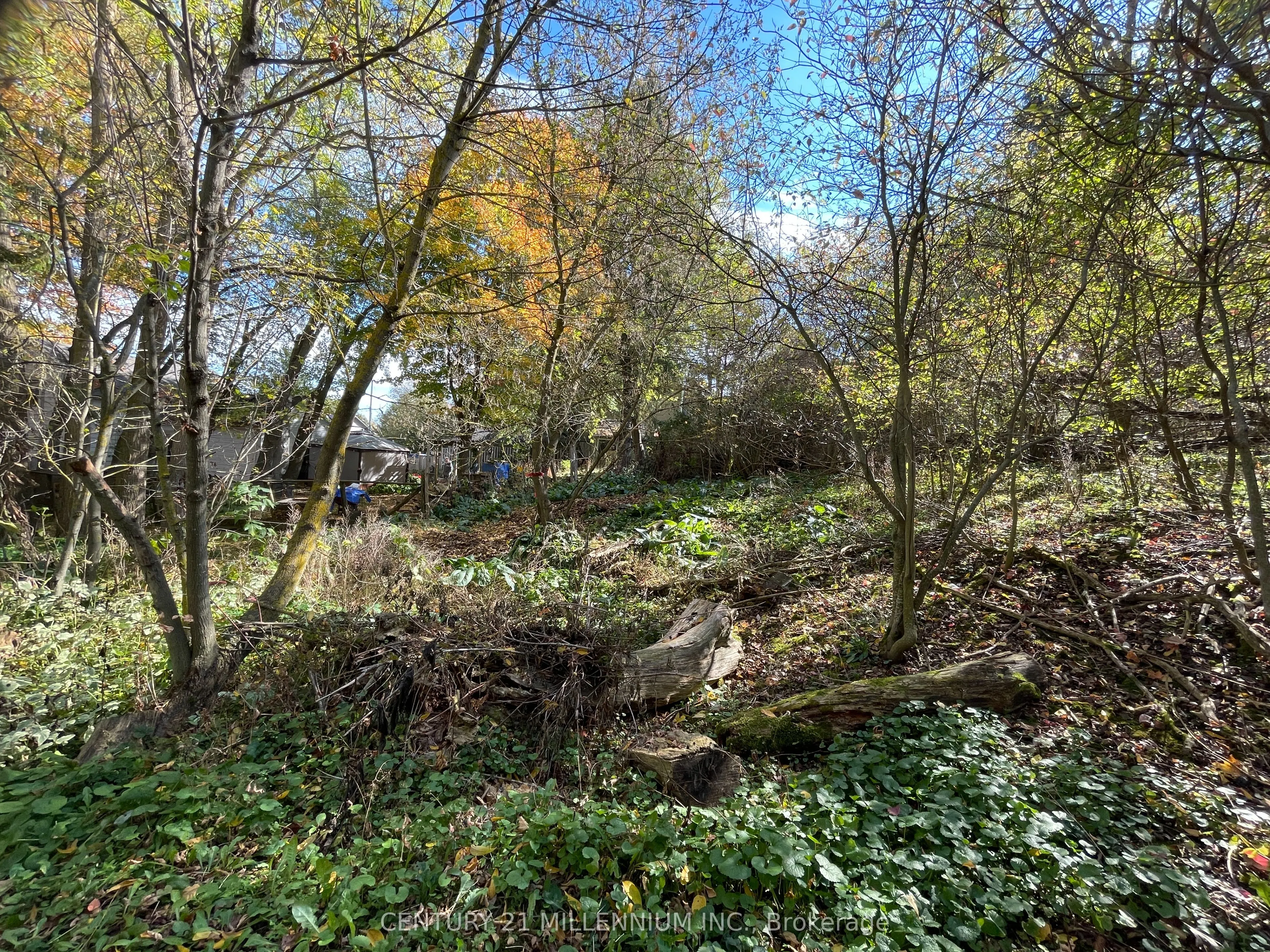 Plan 4A BLK 3 Lot 10 Mill Street