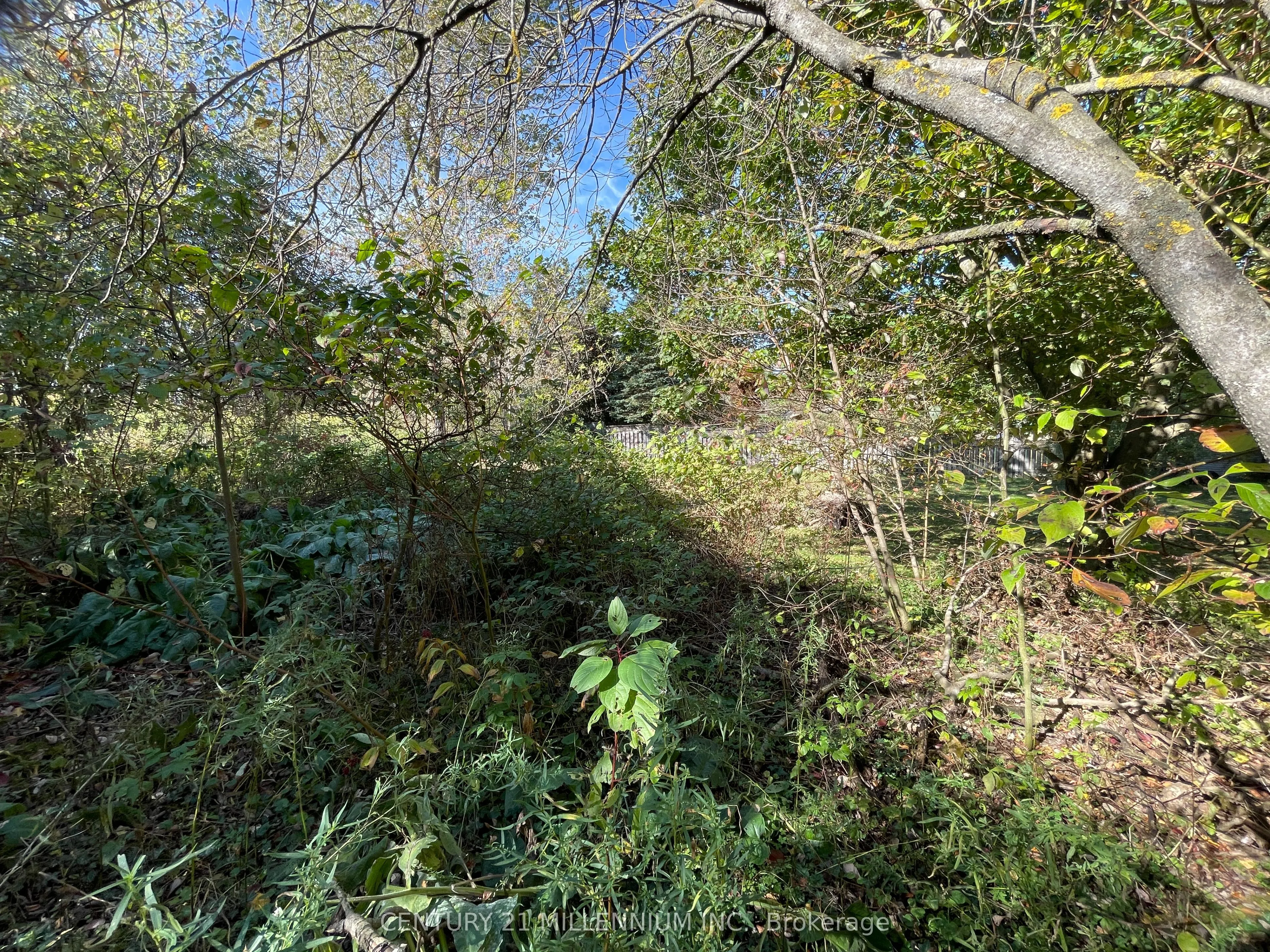 Plan 4A BLK 3 Lot 10 Mill Street