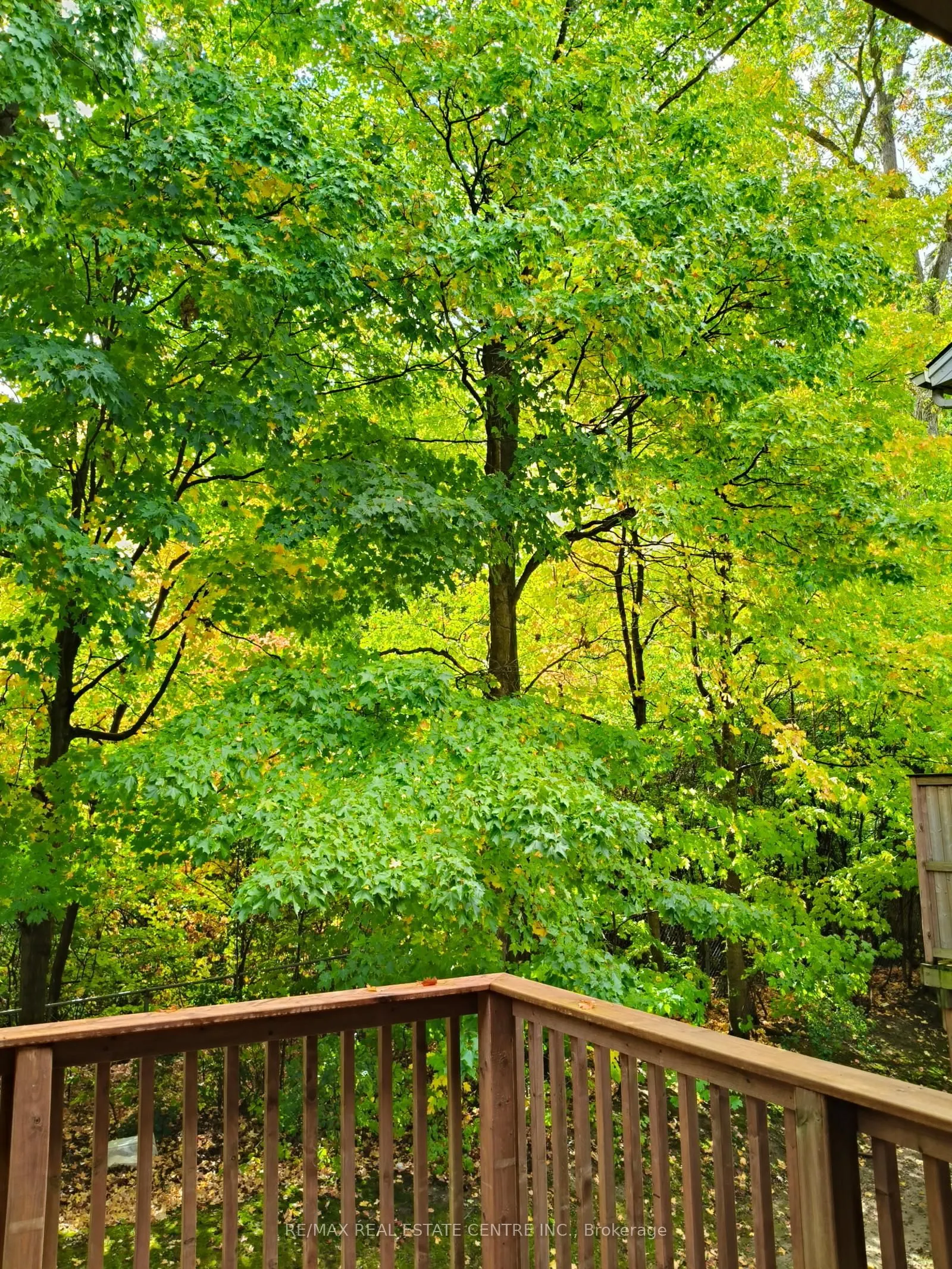235 Saginaw Parkway, #57