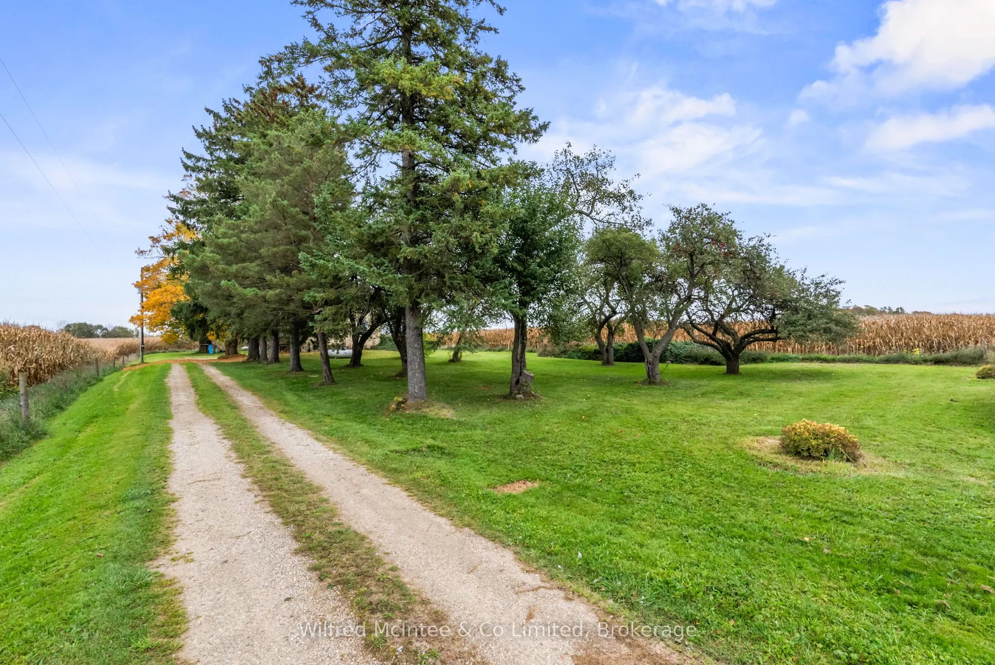 570 20 Side Road