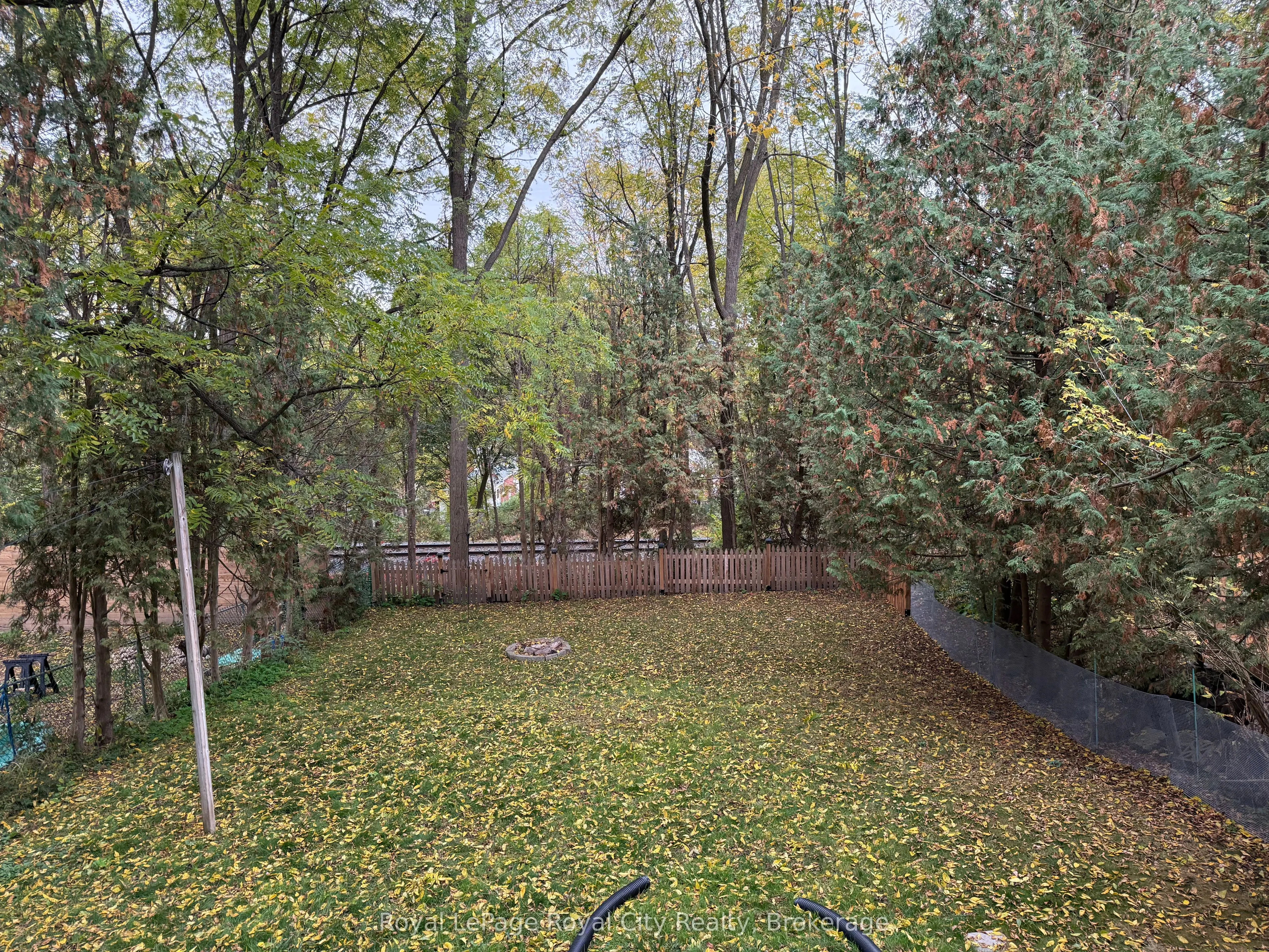 125 Grove Street, #BASEMENT