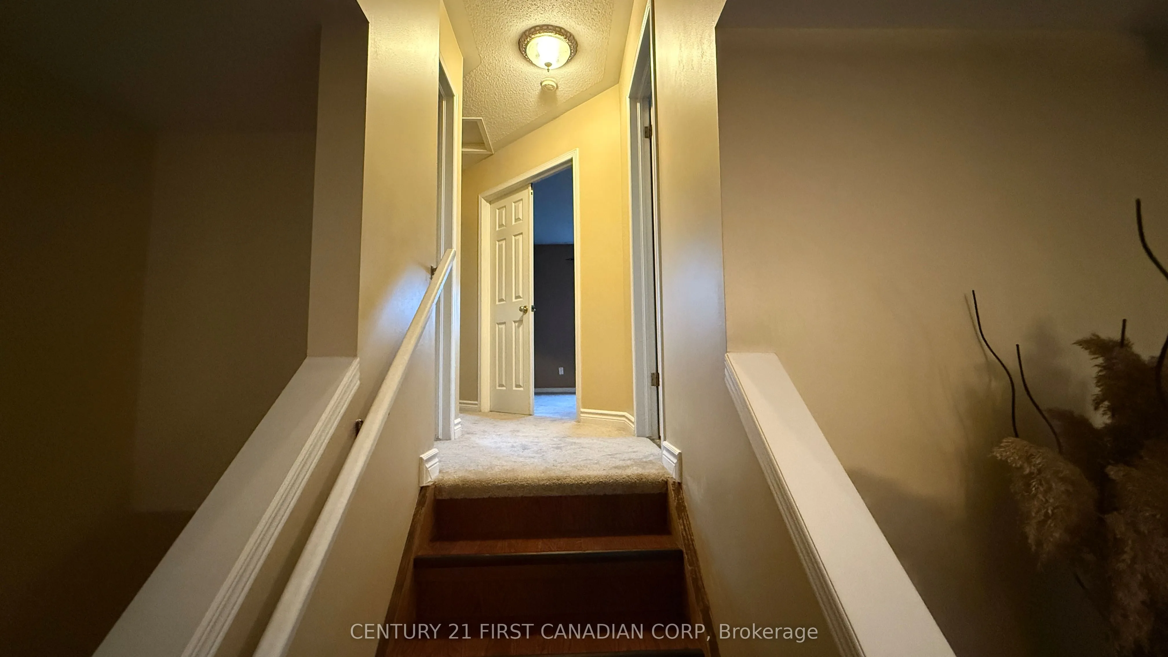 293 Wildgoose Road