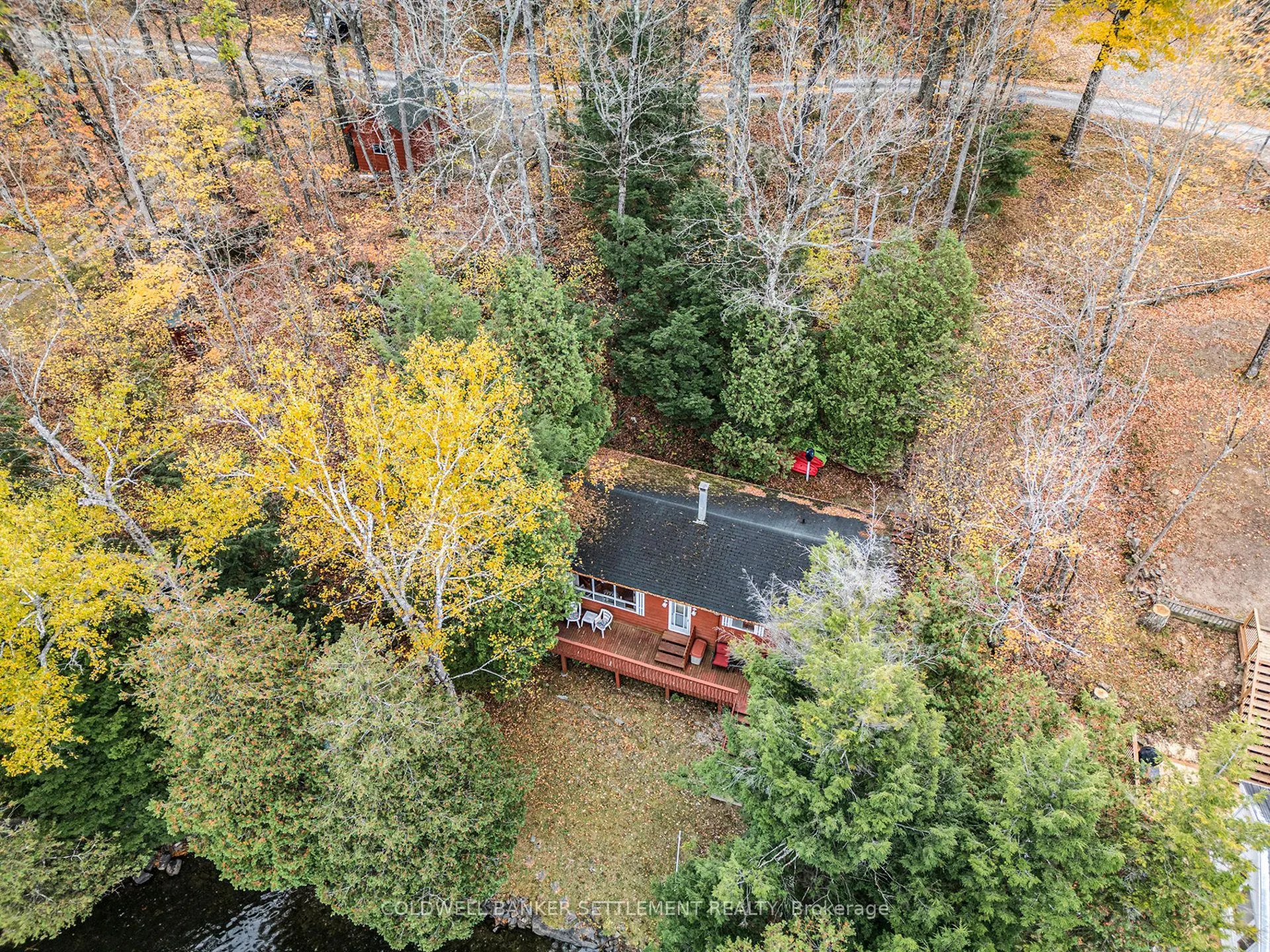 411 YVON Lane