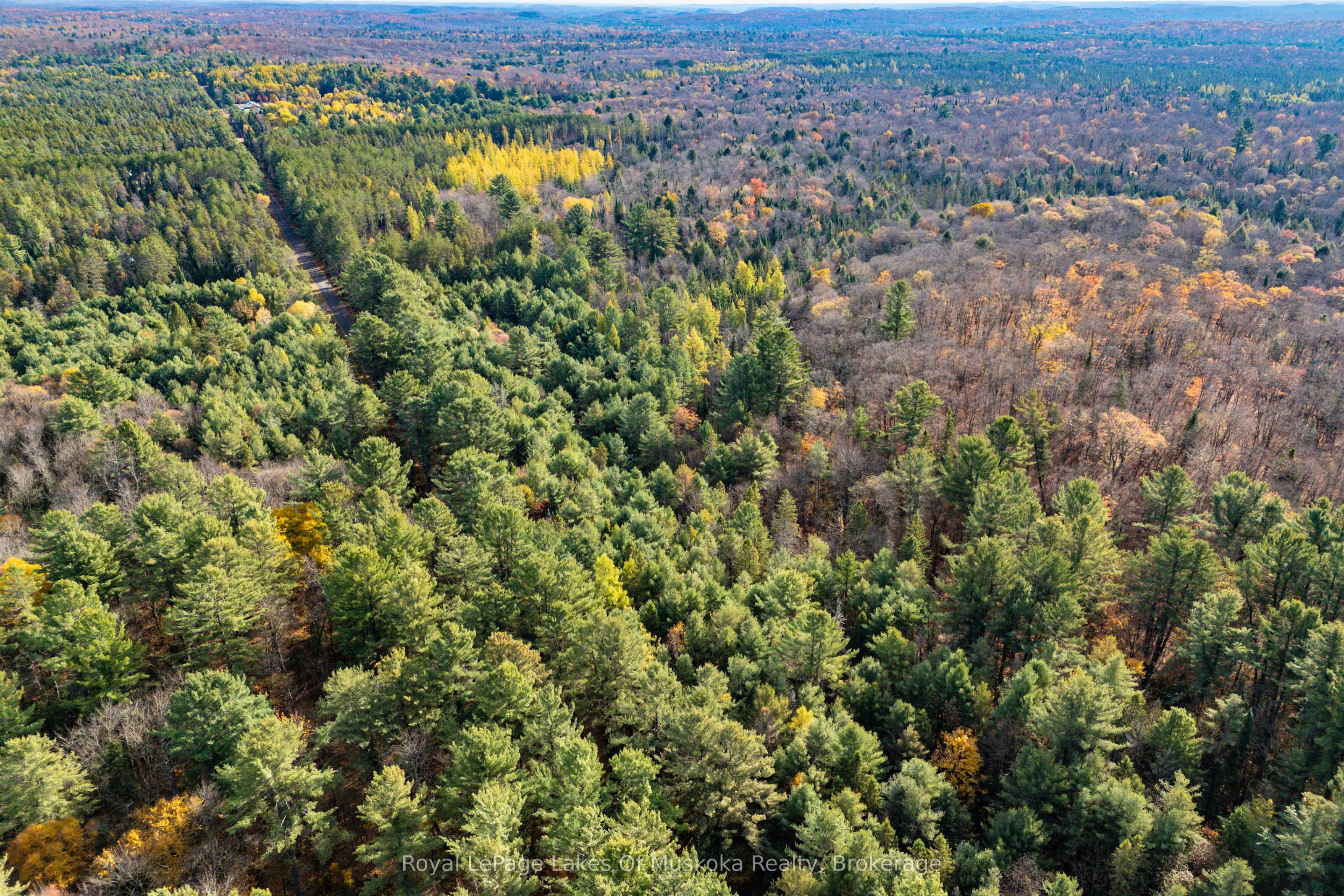 267 & 321 Cardwell Lake Road