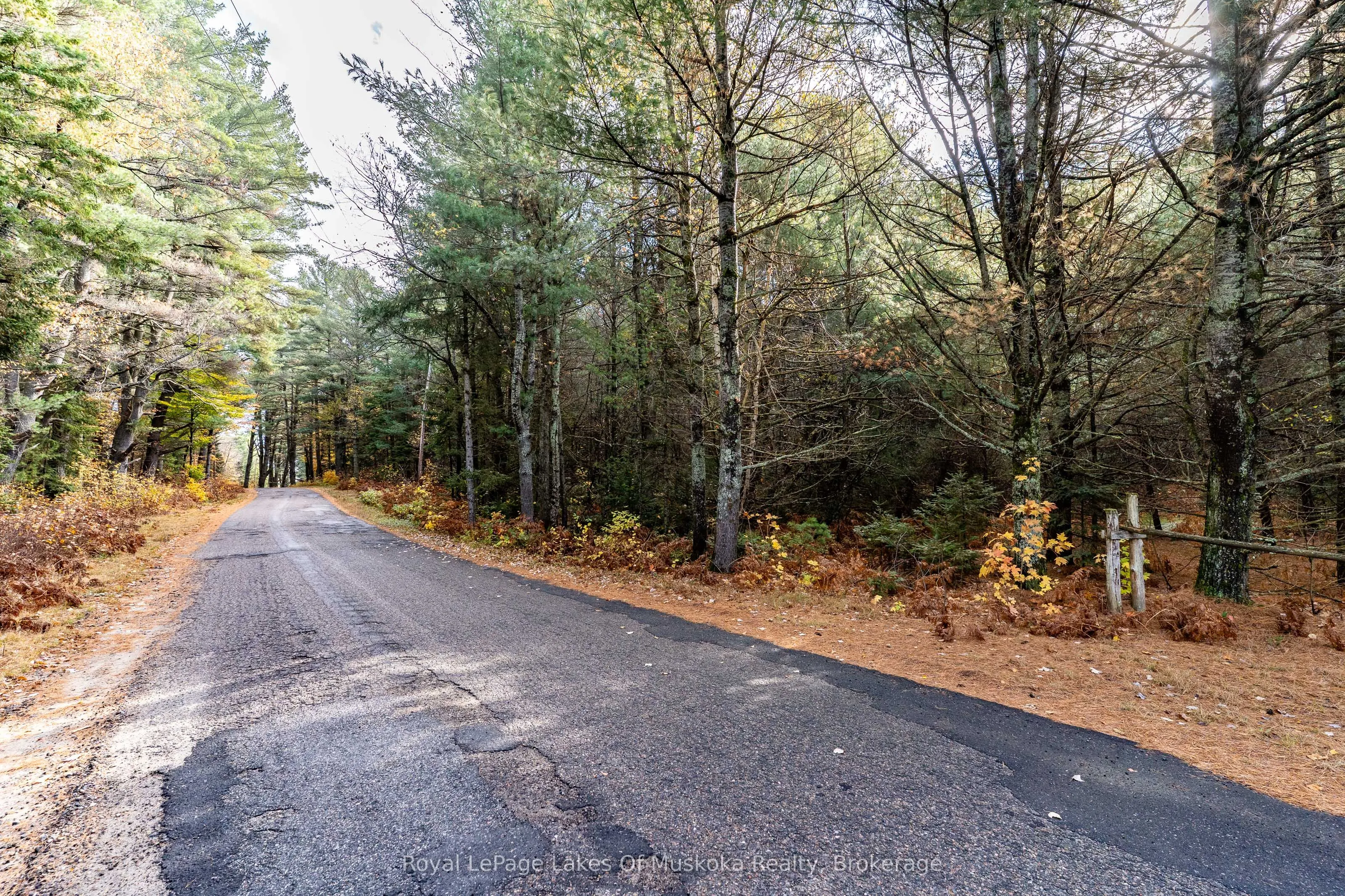 267 & 321 Cardwell Lake Road