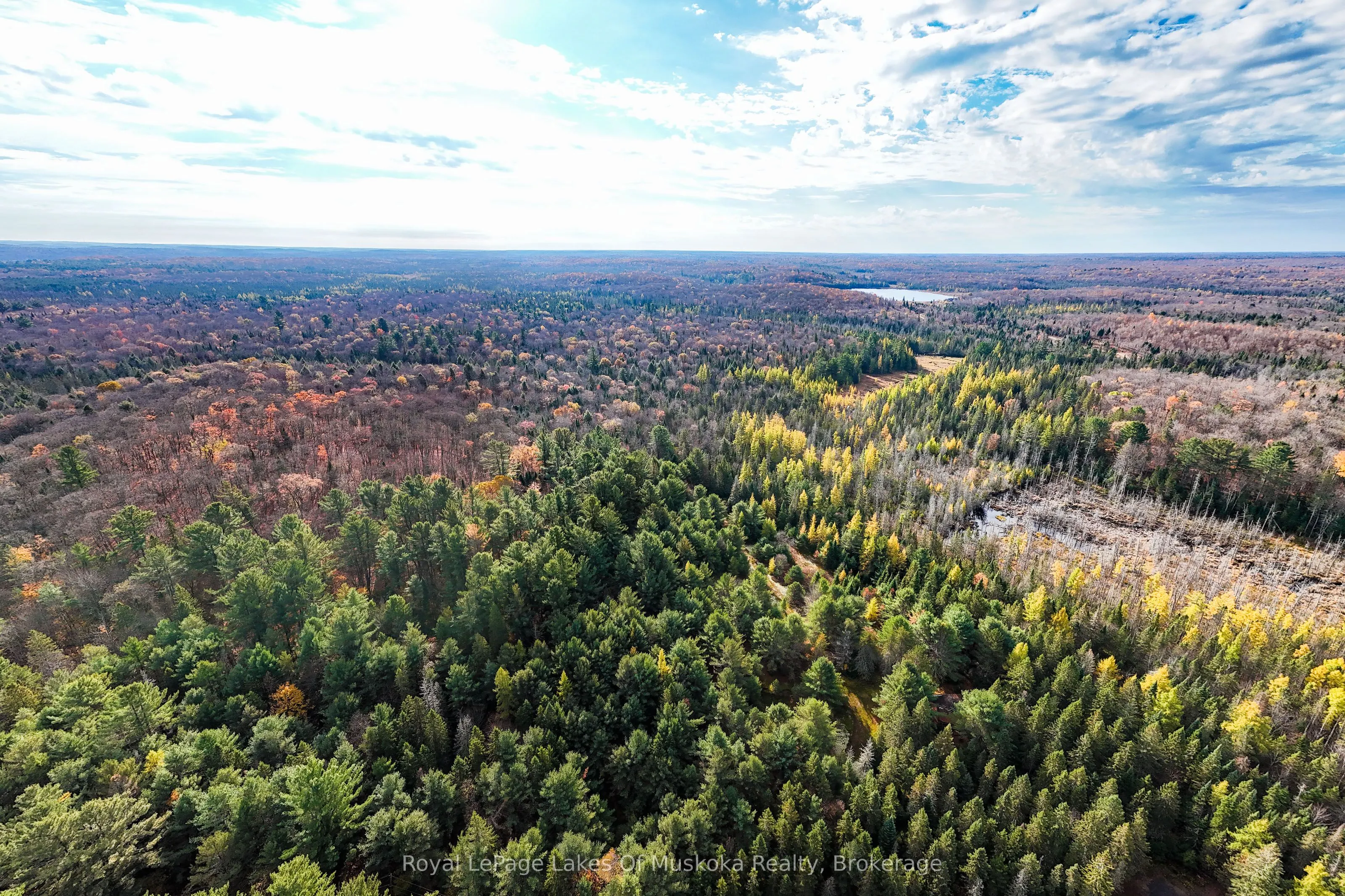 267 & 321 Cardwell Lake Road