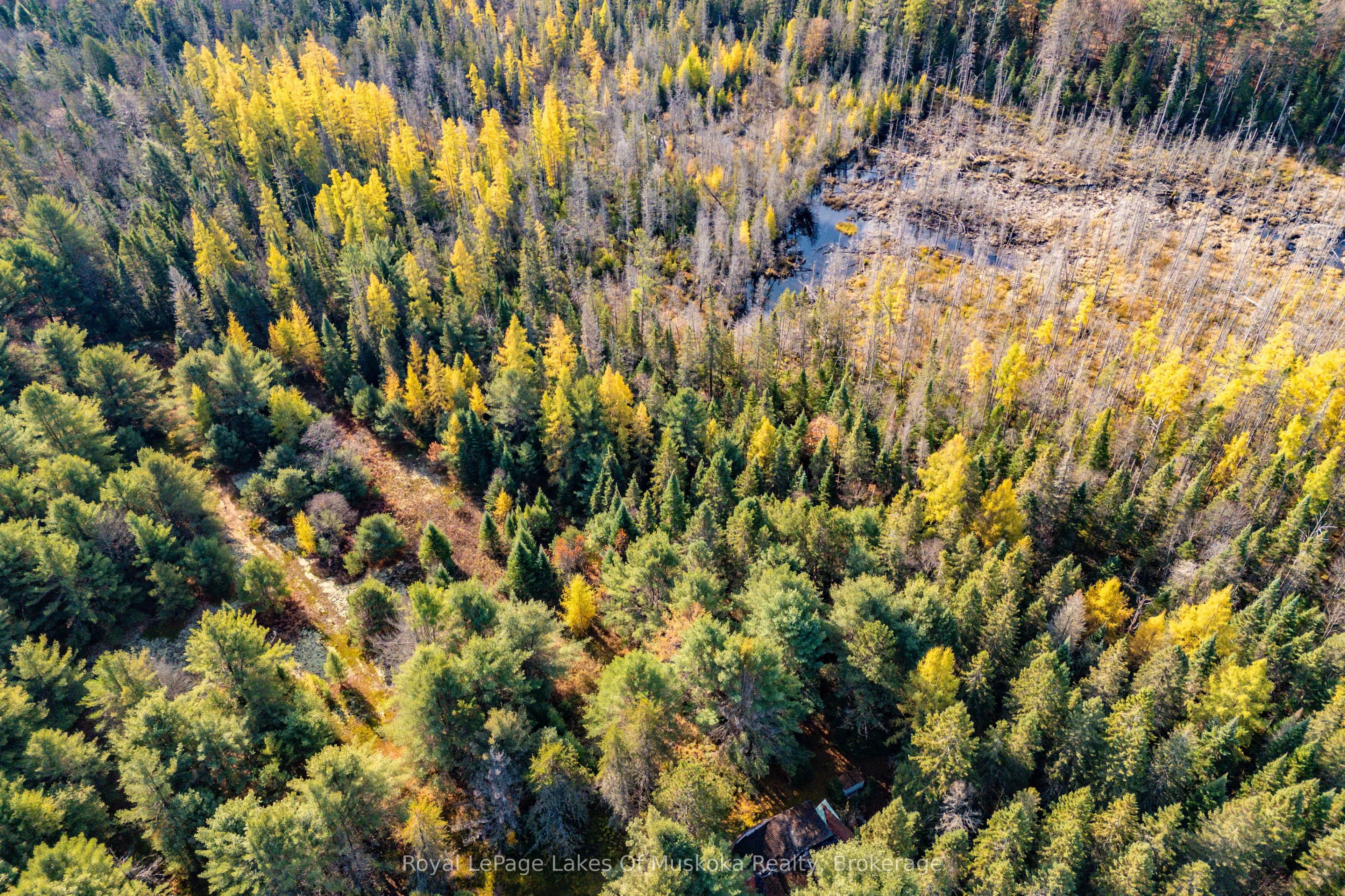 267 & 321 Cardwell Lake Road