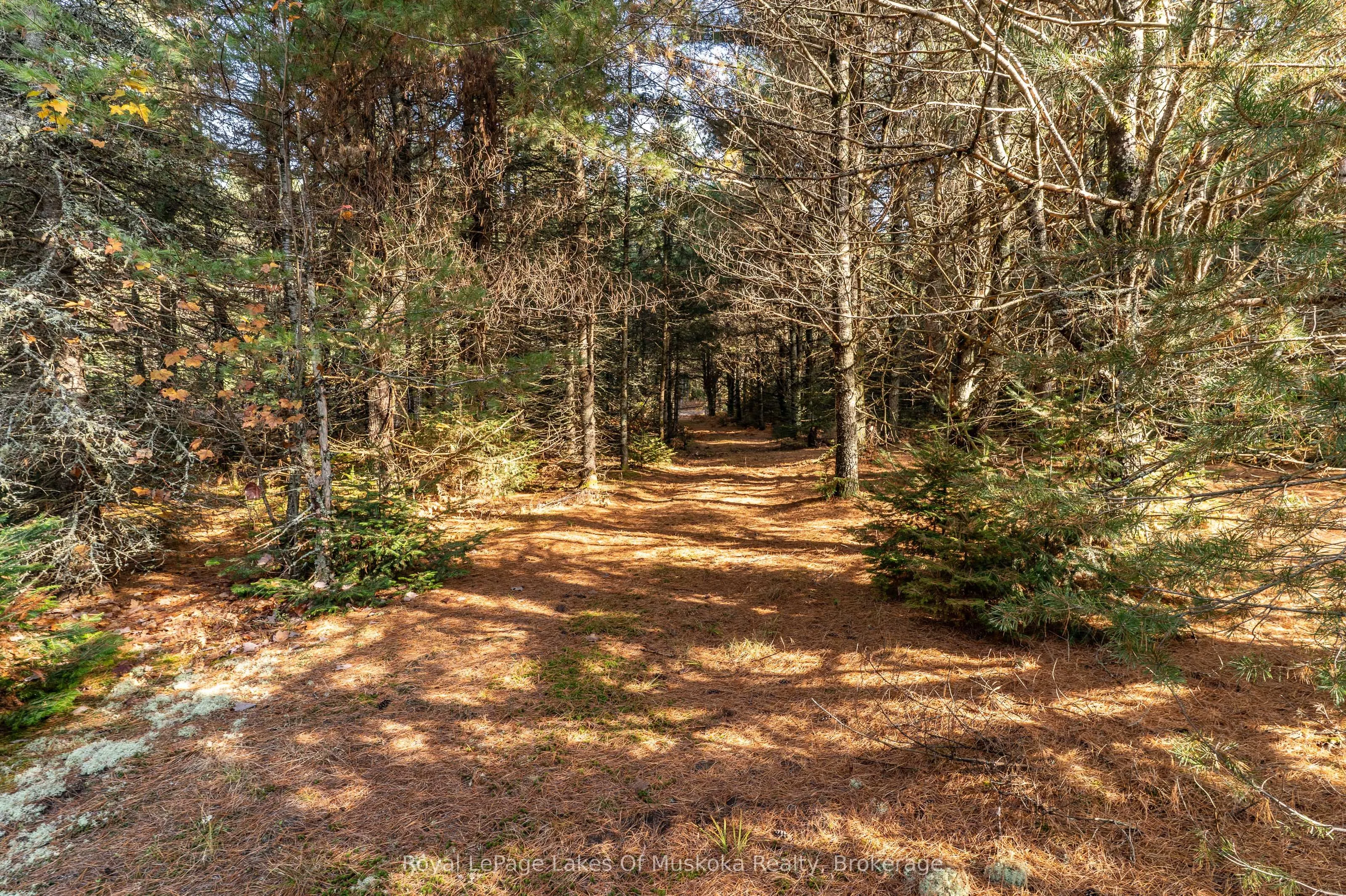 267 & 321 Cardwell Lake Road