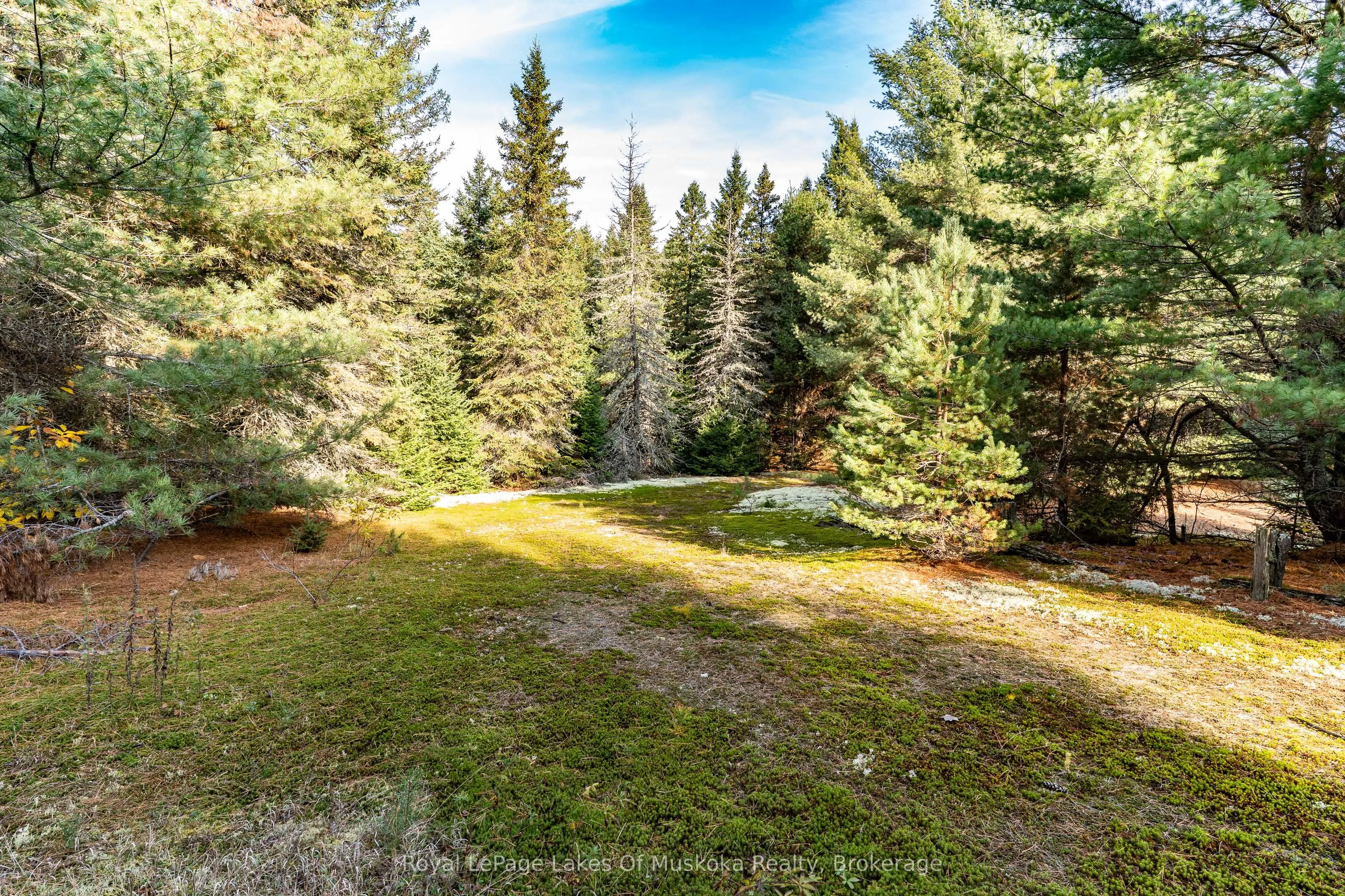 267 & 321 Cardwell Lake Road