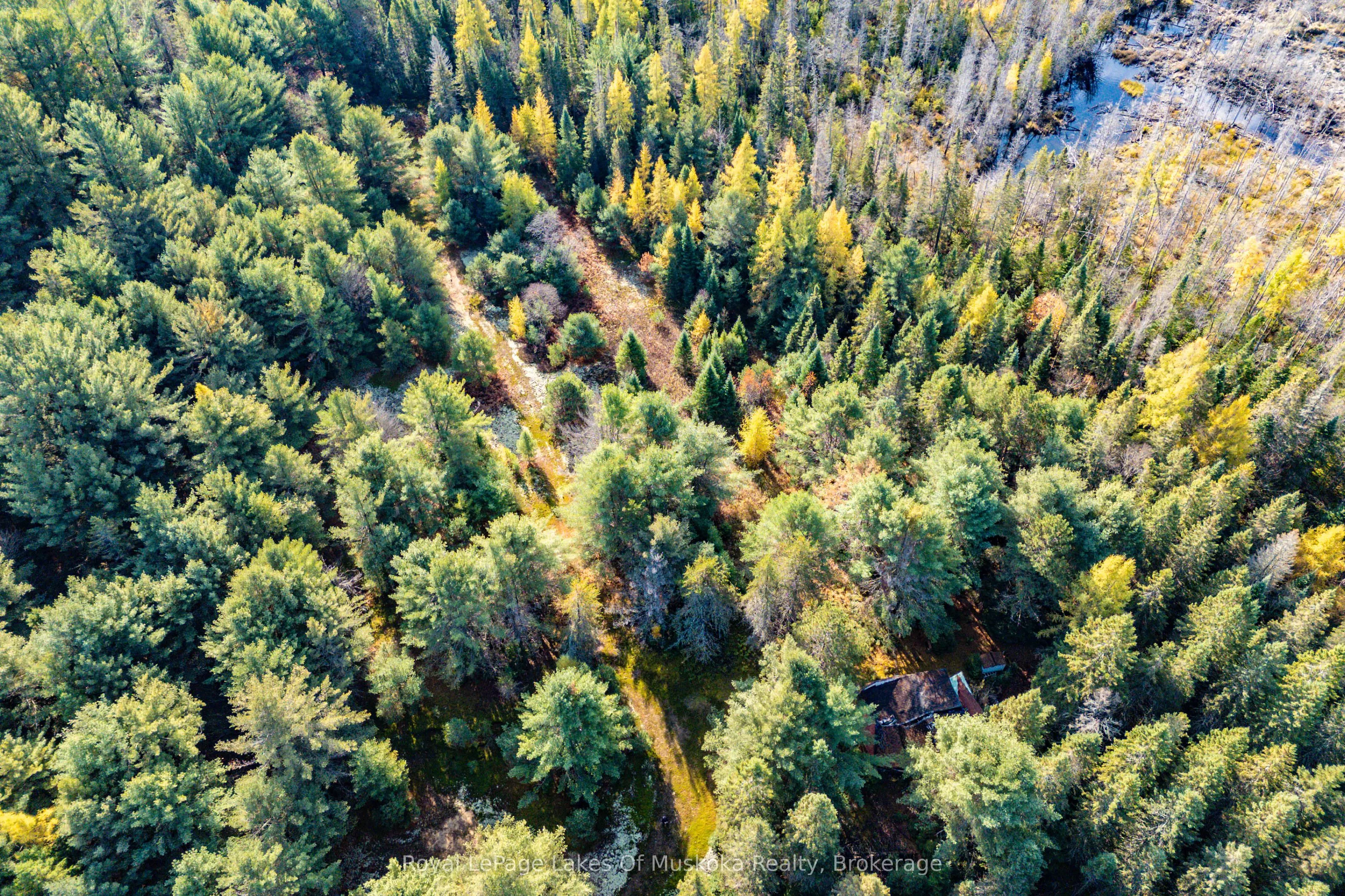 267 & 321 Cardwell Lake Road