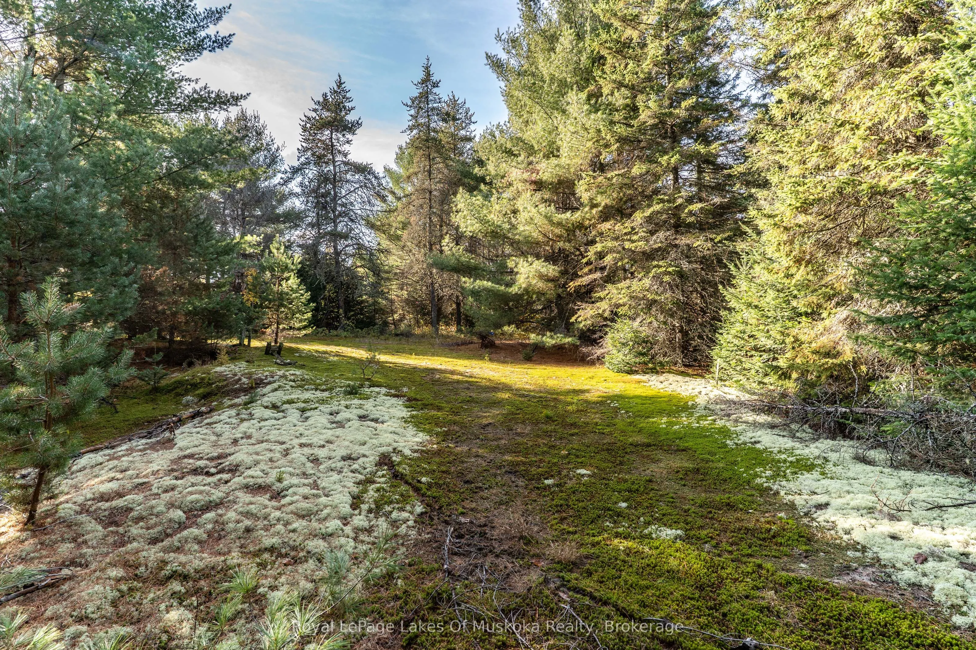 267 & 321 Cardwell Lake Road