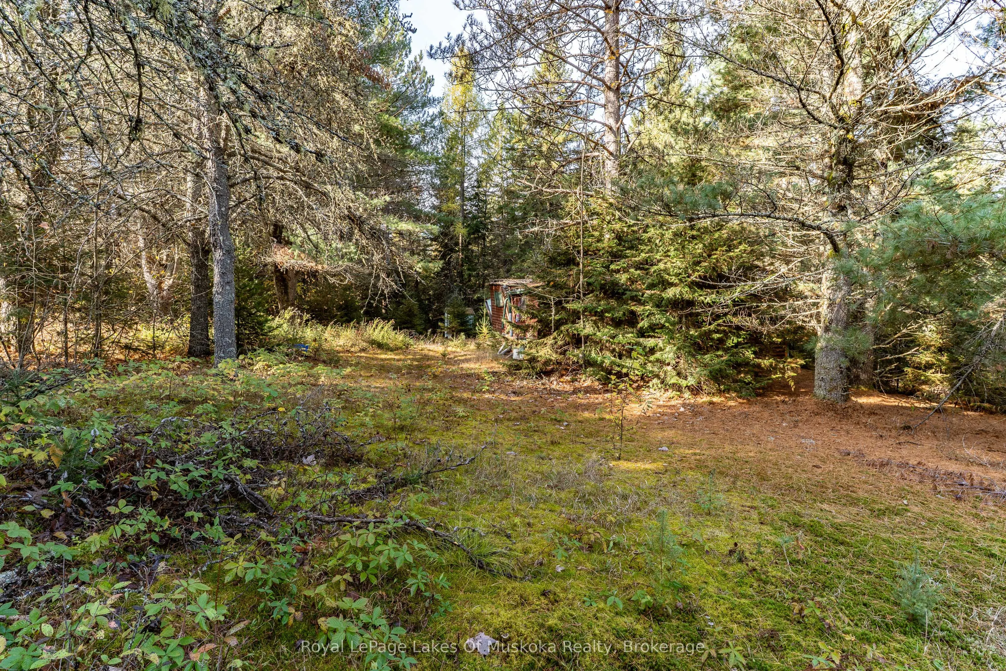 267 & 321 Cardwell Lake Road