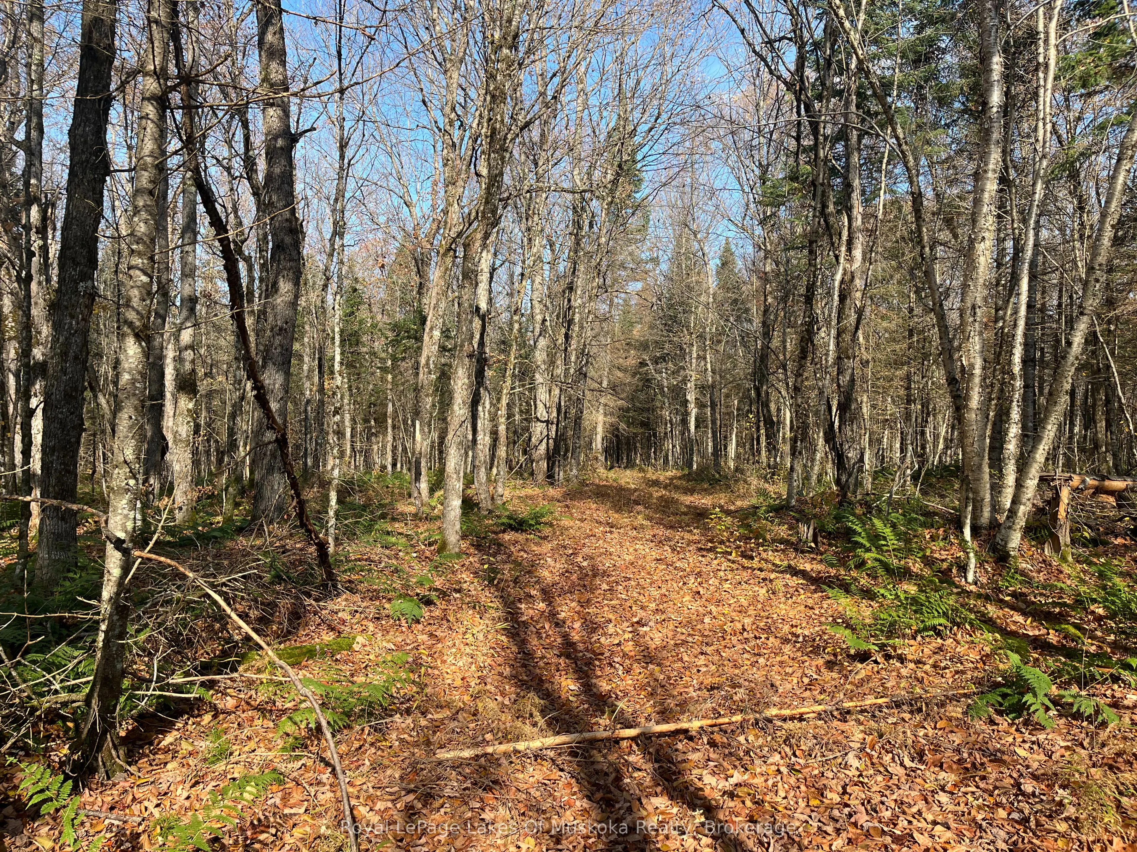 267 & 321 Cardwell Lake Road
