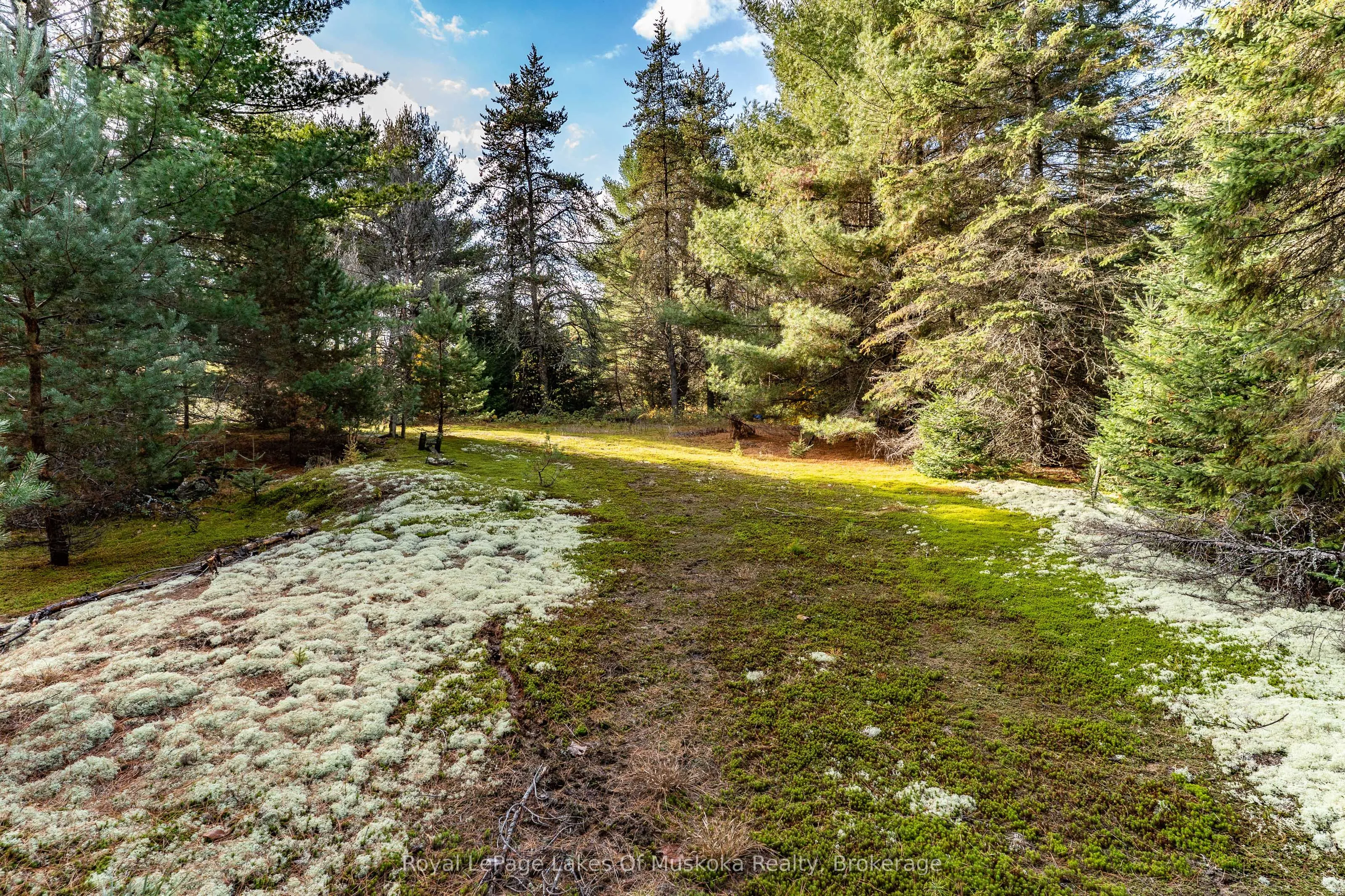 267 & 321 Cardwell Lake Road