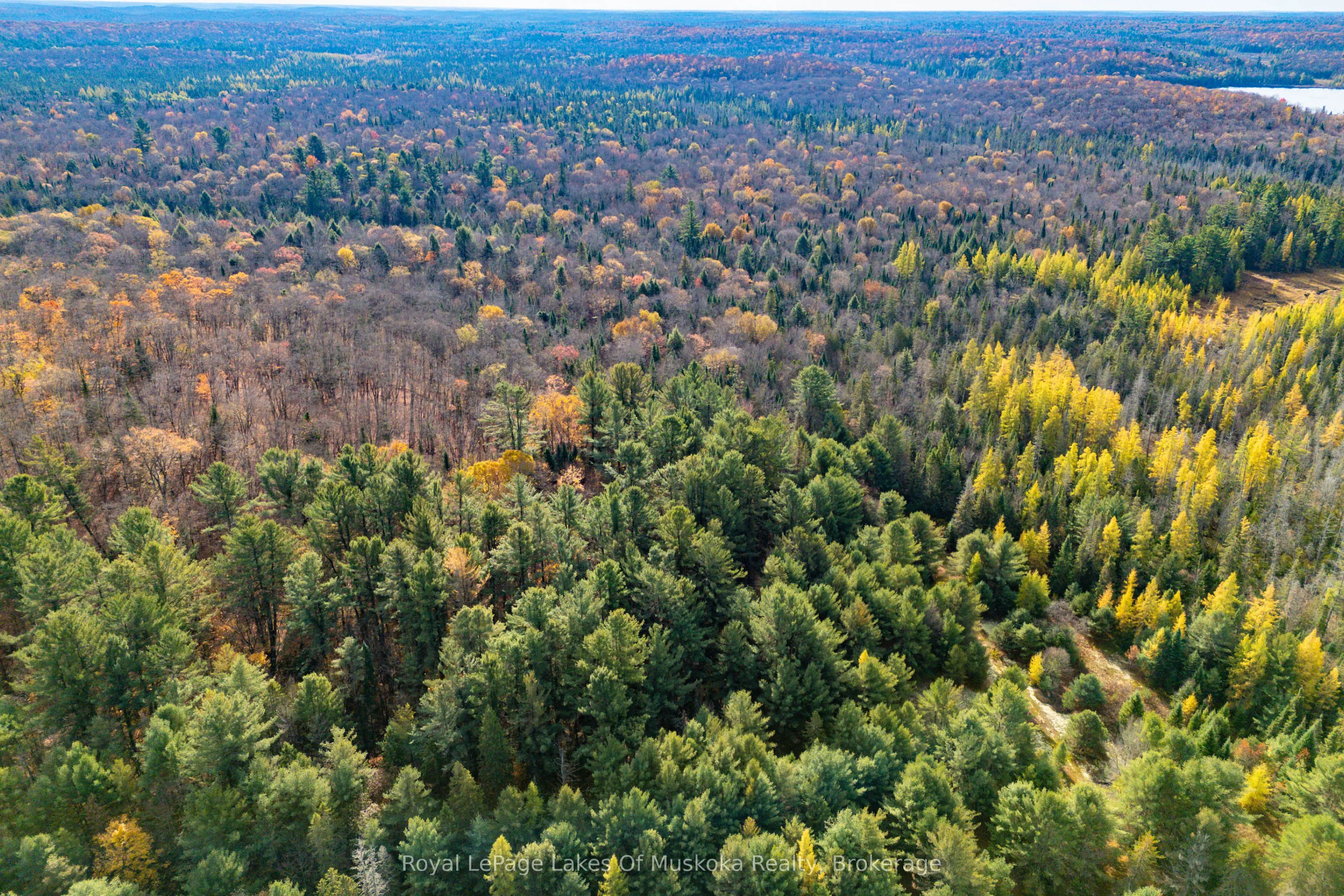 267 & 321 Cardwell Lake Road