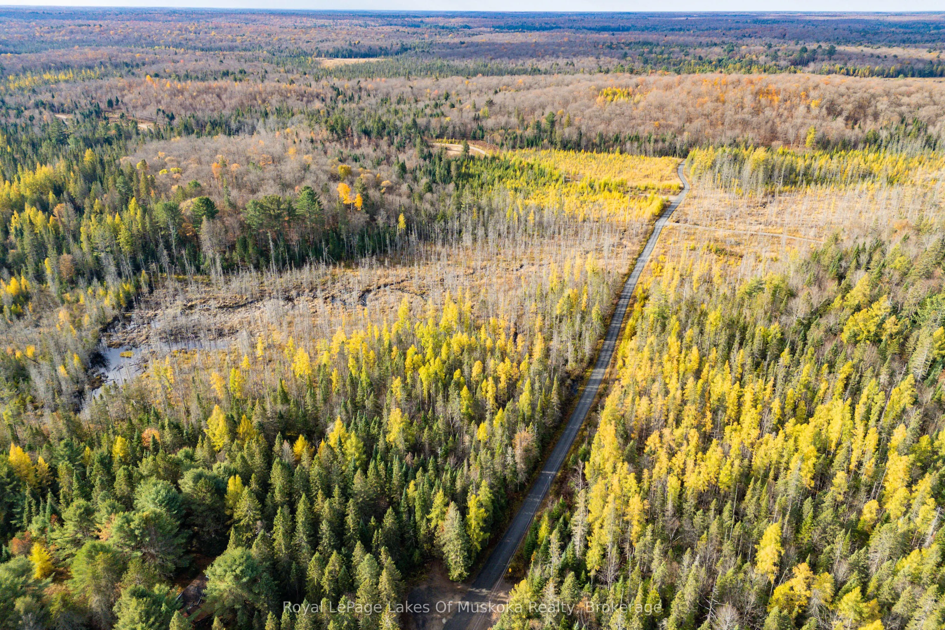 267 & 321 Cardwell Lake Road