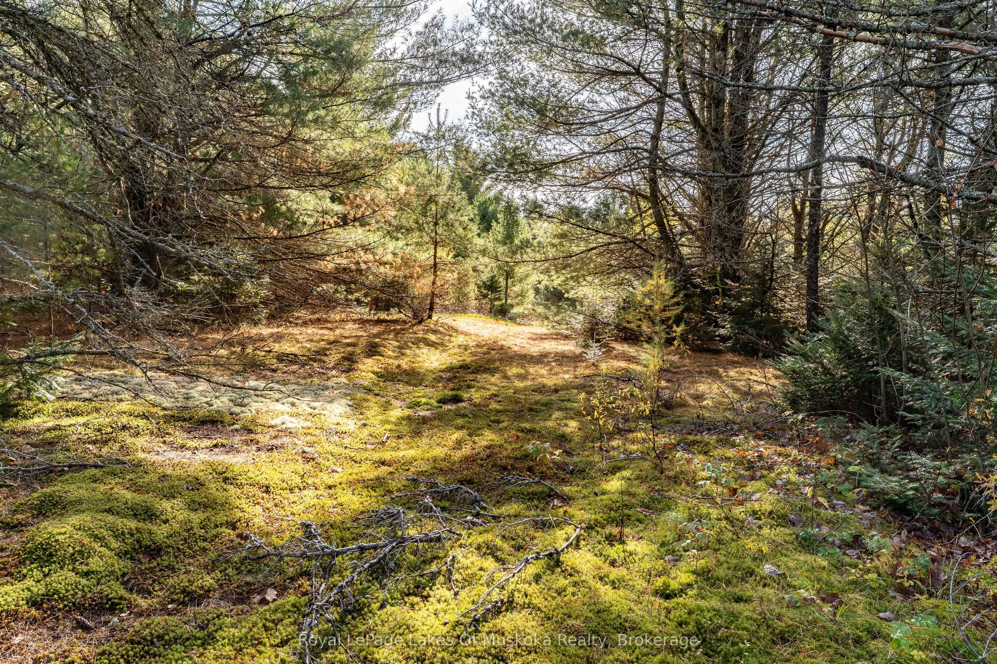 267 & 321 Cardwell Lake Road