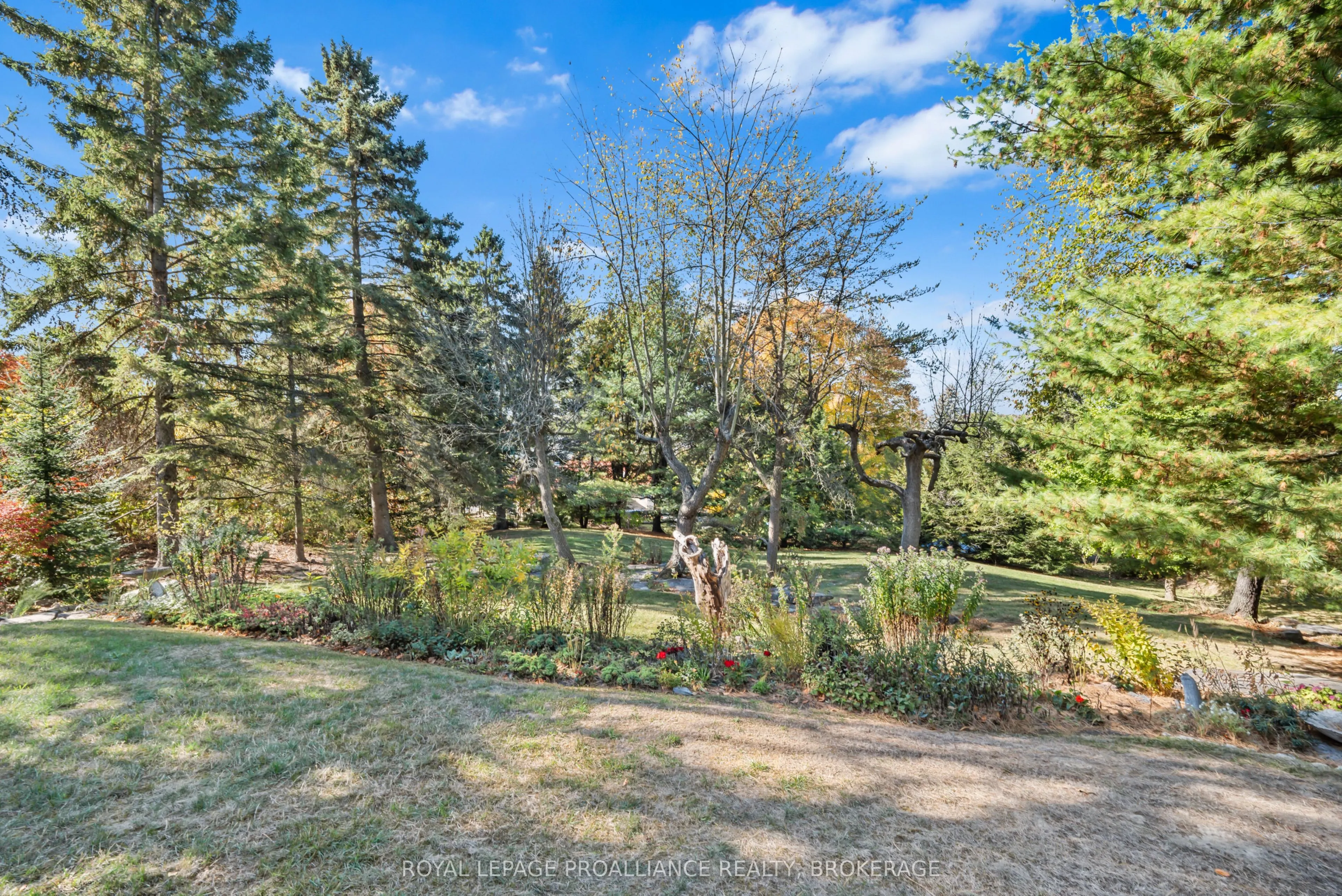 1125 Lincoln Drive