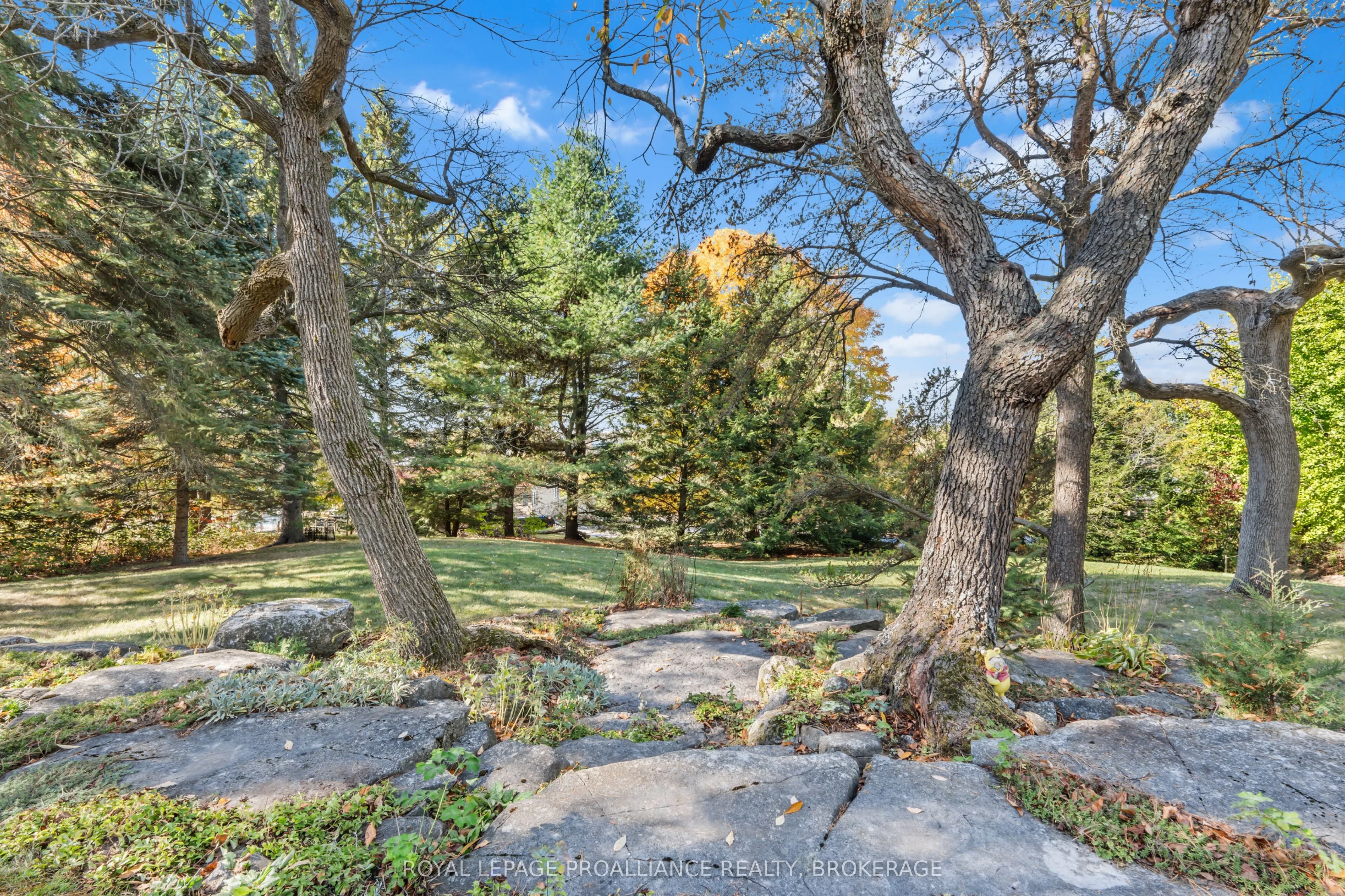 1125 Lincoln Drive