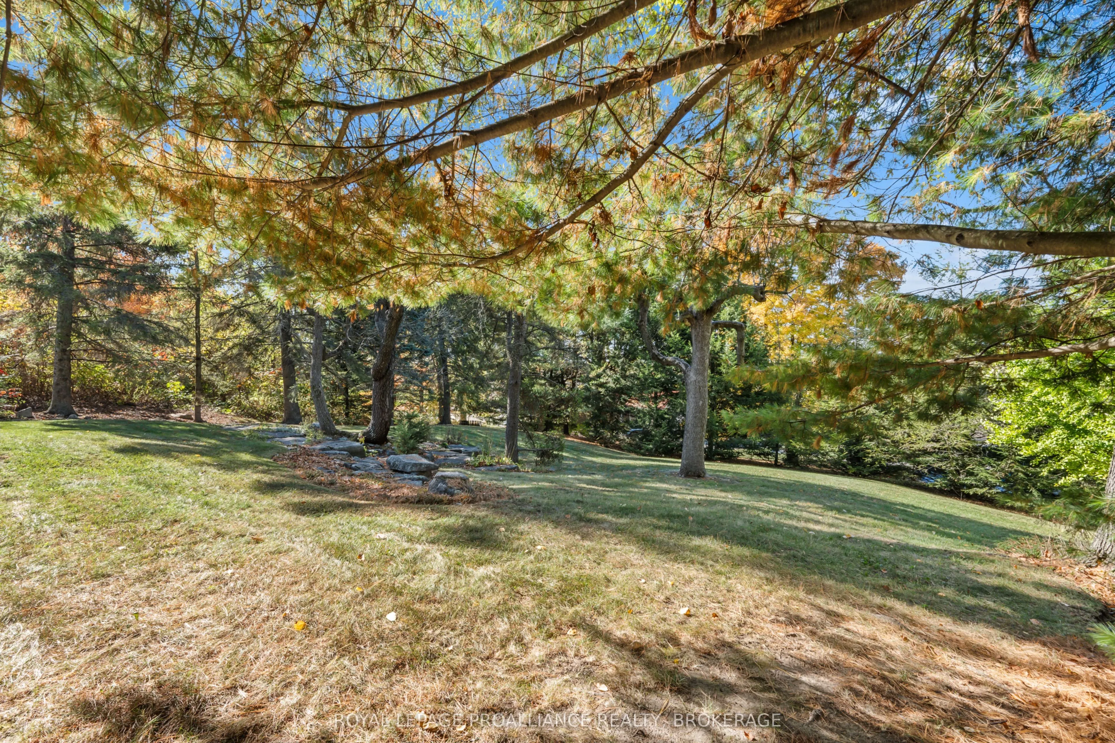 1125 Lincoln Drive