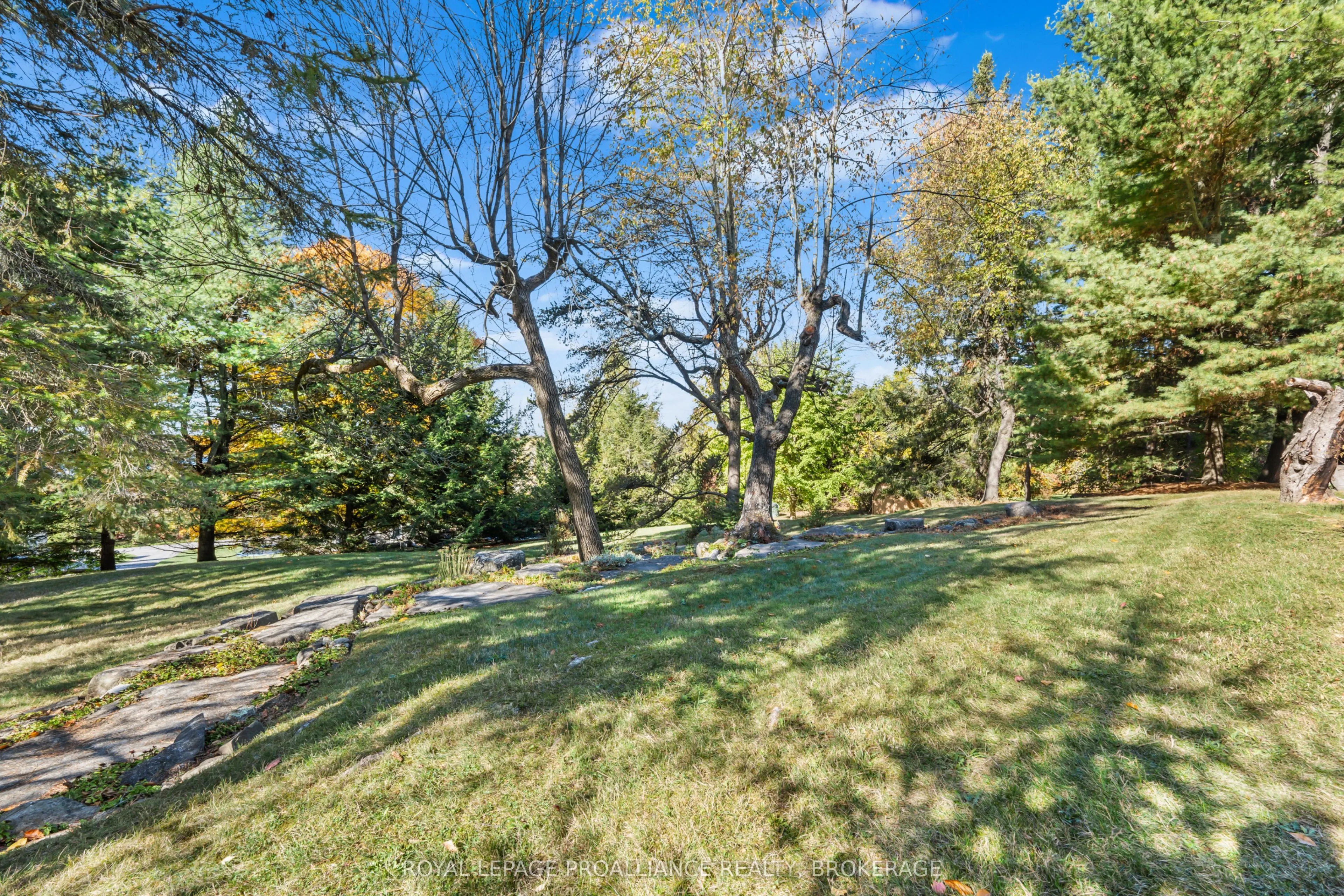 1125 Lincoln Drive