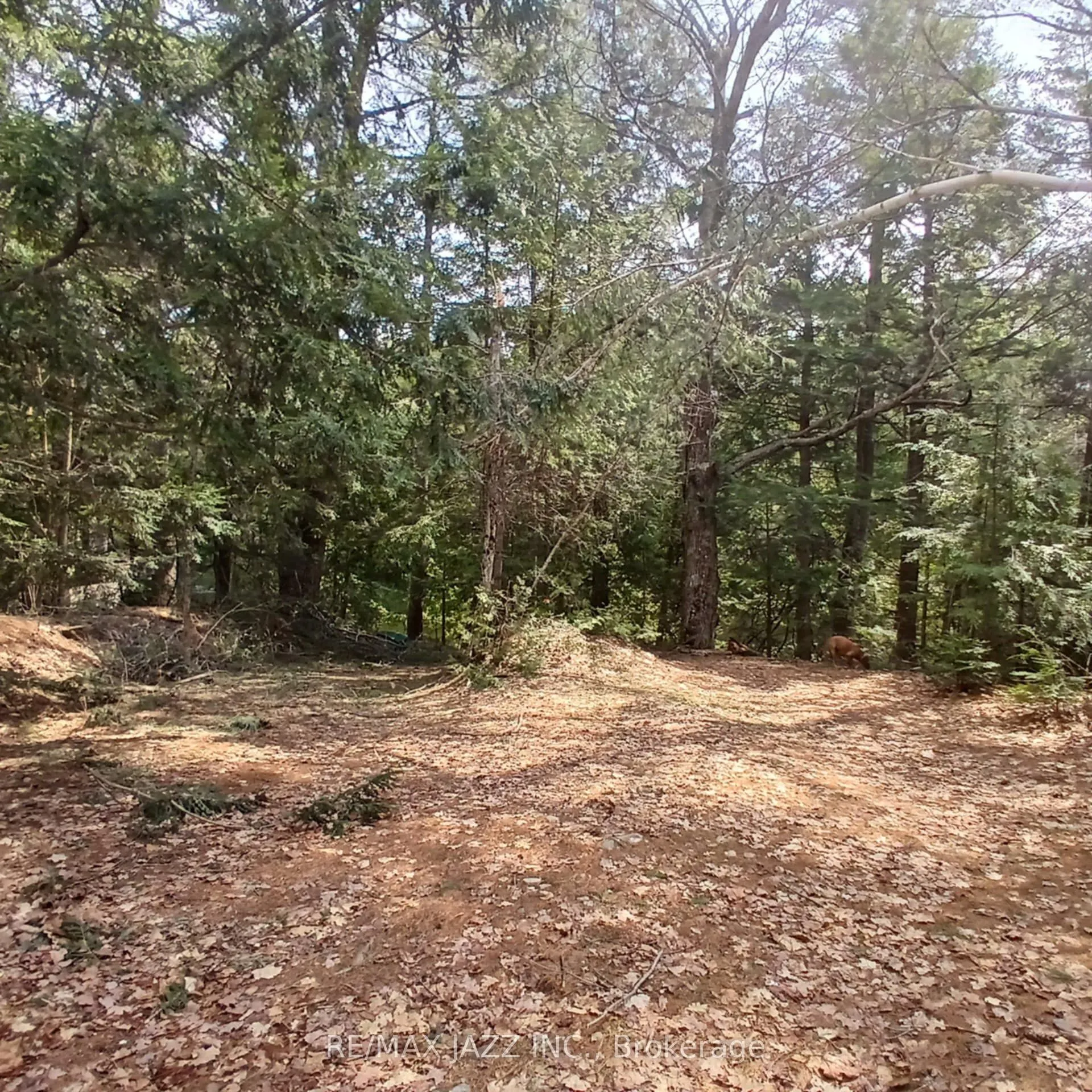 0 Concession 3 Road